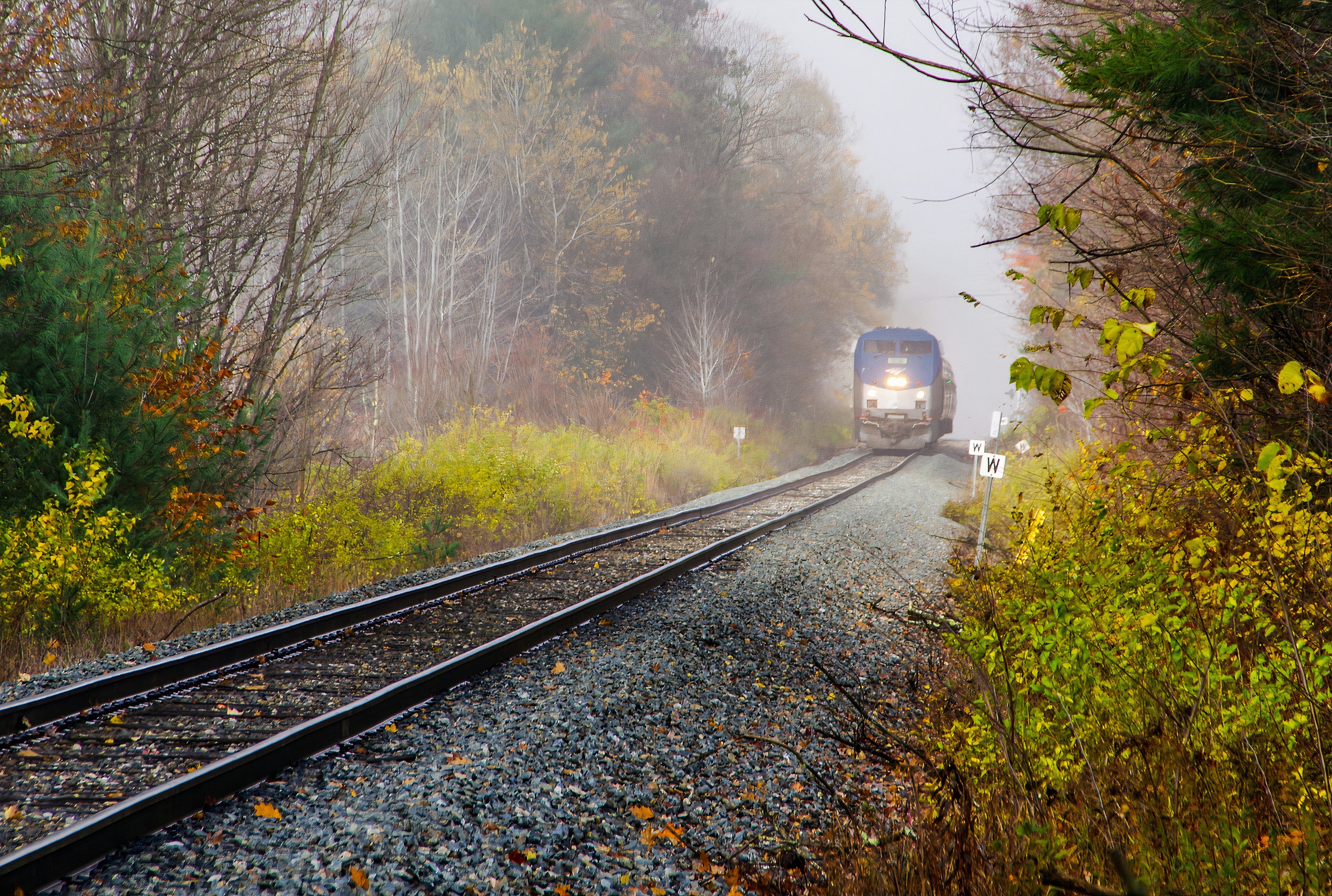 Amtrak's Auto Train Fares Start As Low As $95