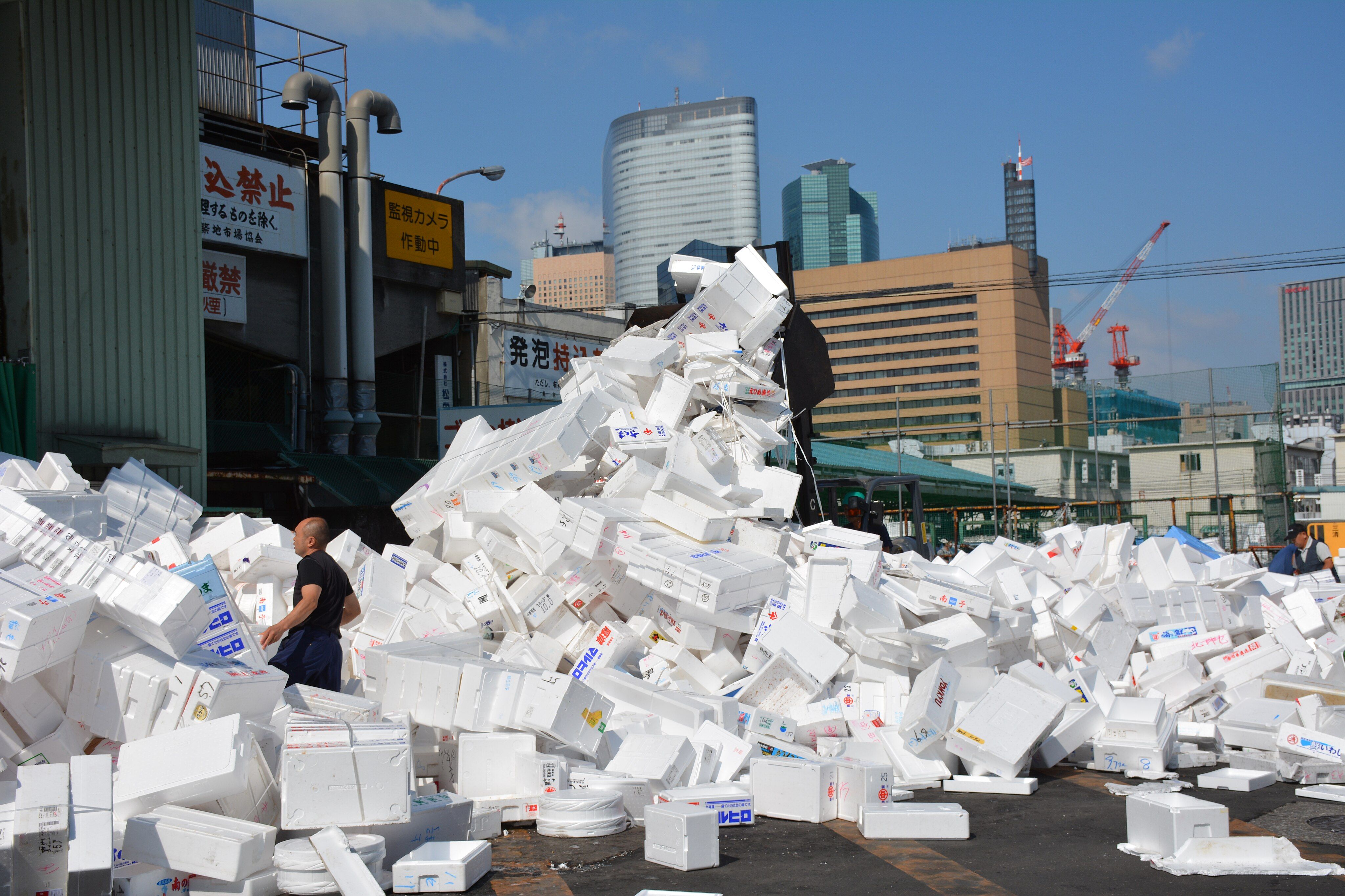 Discovery Of Plastic-Eating Insect Could Help Combat World Waste