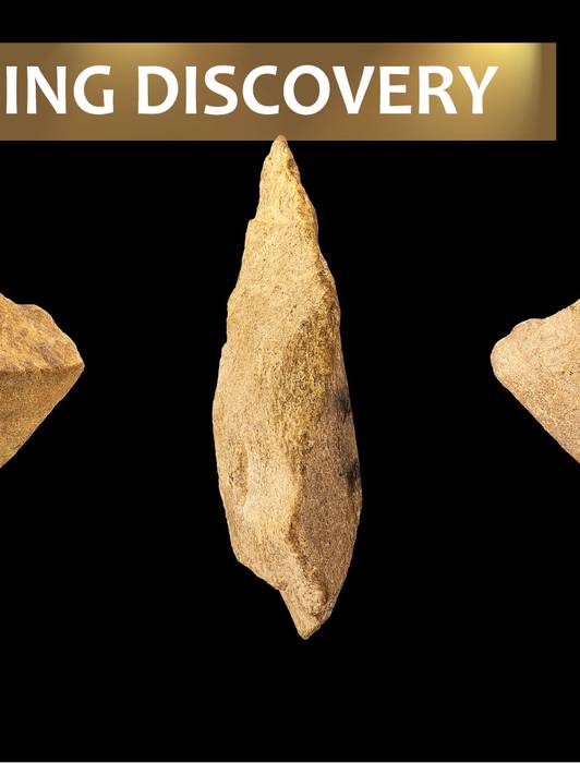 20,000-Year-Old Giant Armadillo Fossils Are The Largest Ever Discovered