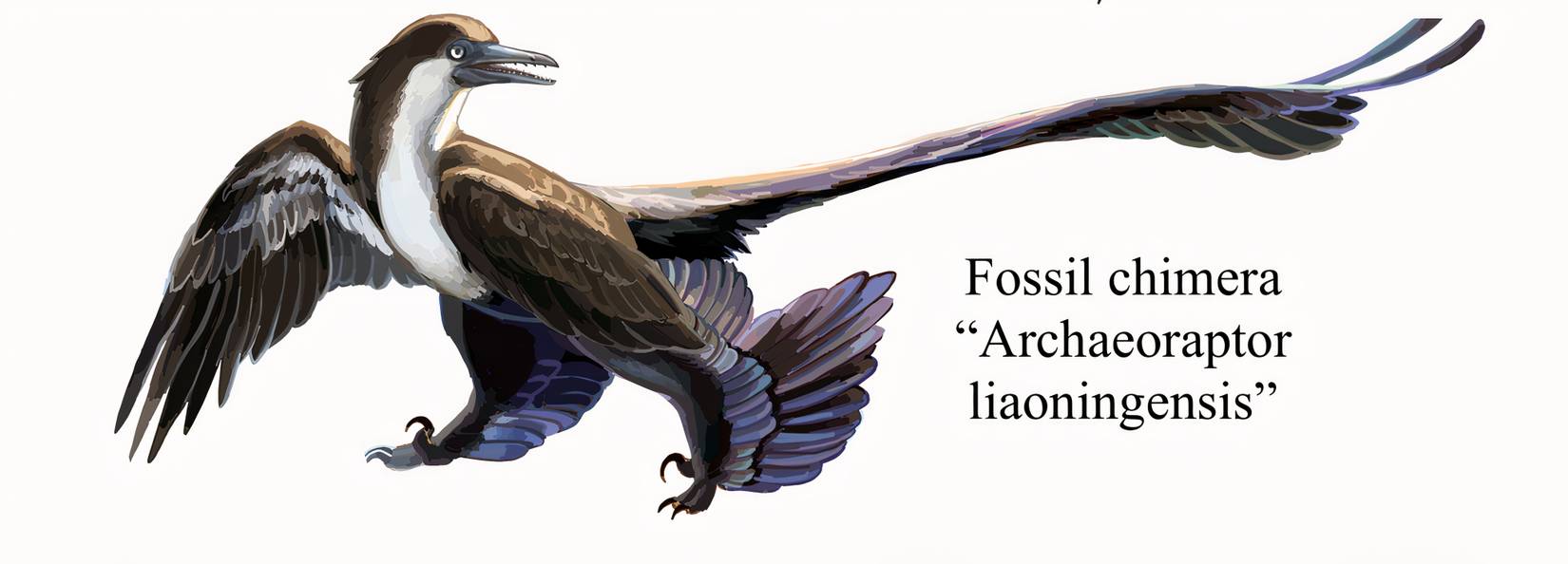 Even National Geographic Was Fooled By This Fake Creature Discovery ...