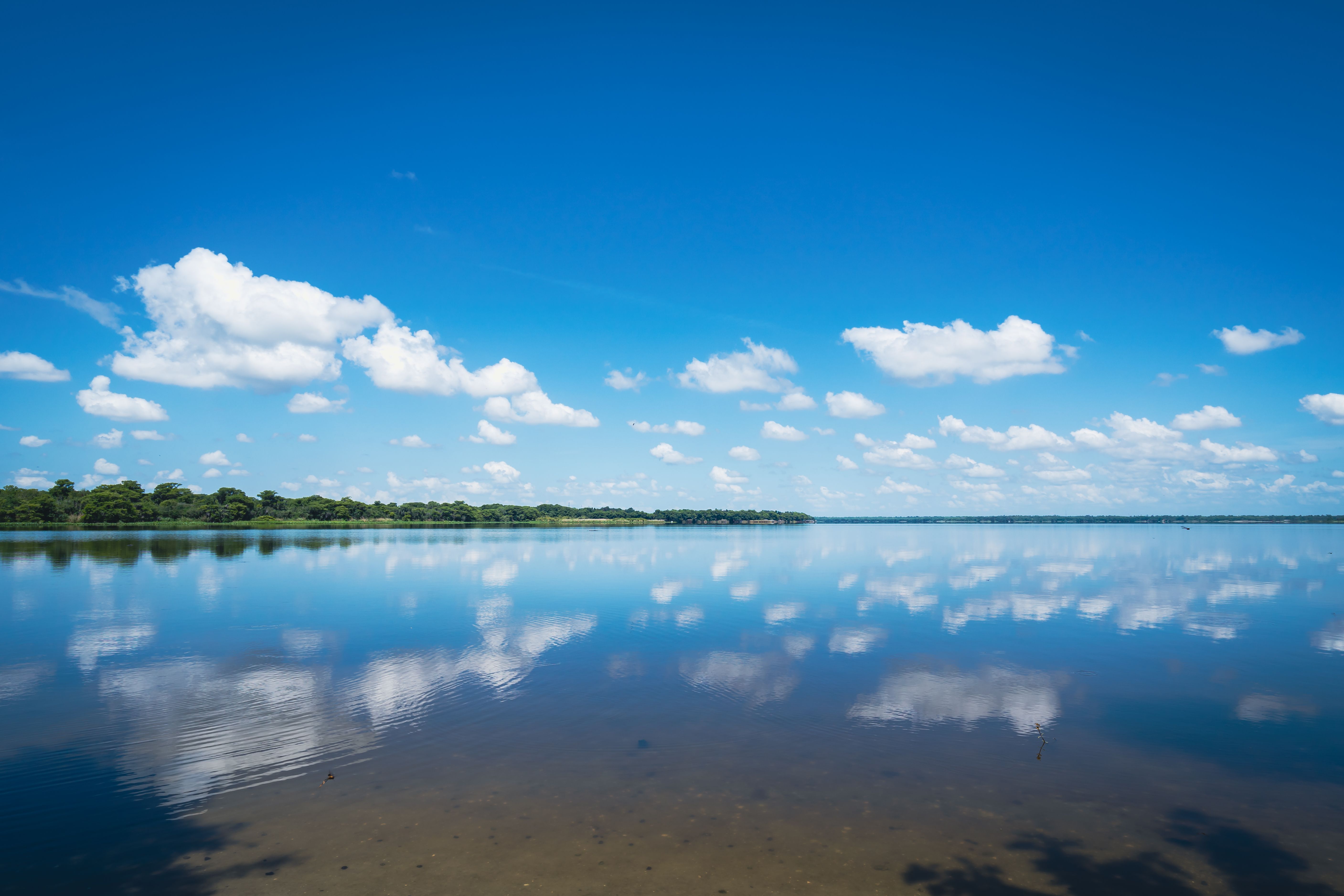 10 Most Alligator-Infested Lakes In Florida