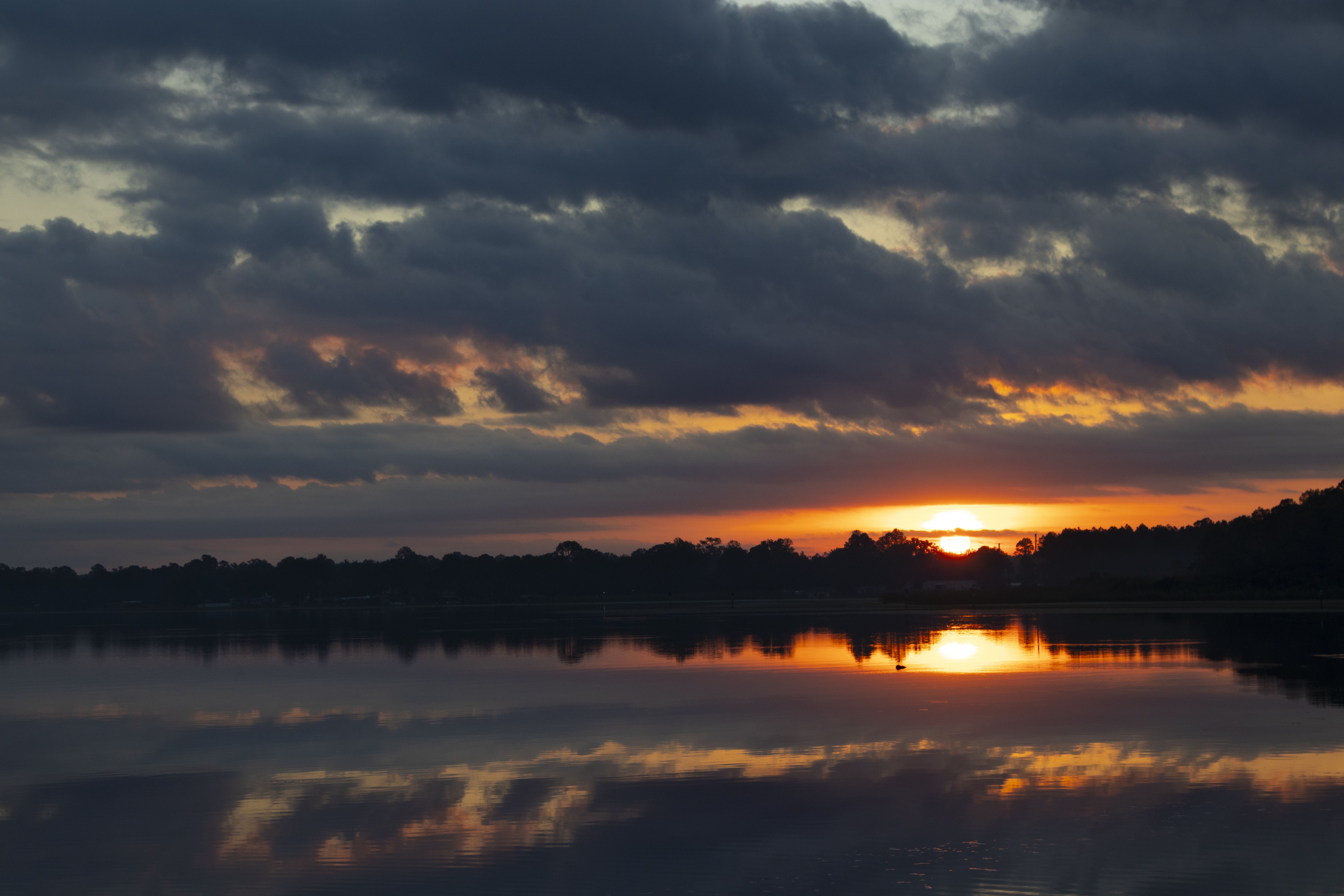 10 Most Alligator-Infested Lakes In Florida