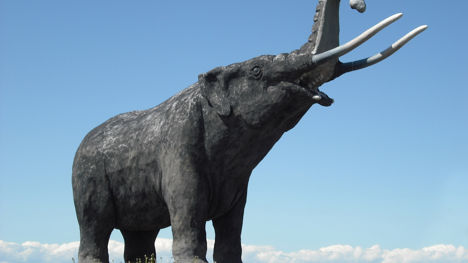 New Details Revealed About 13,600-Year-Old Mastodon Found In Iowa