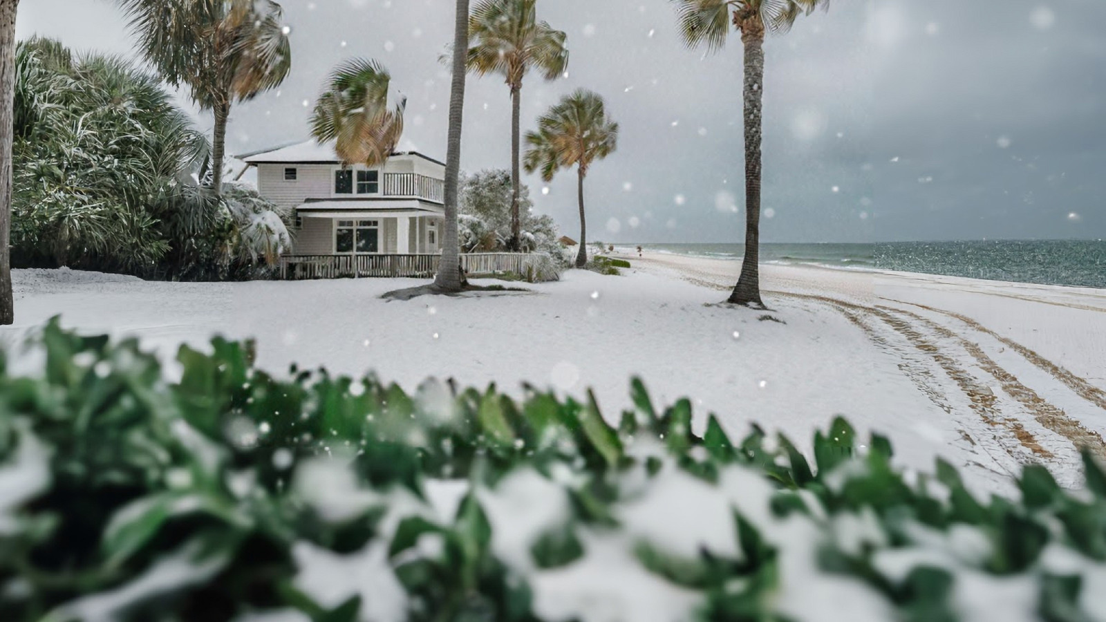 Florida Snow Fall It's Snowing in Florida! Winter Storm Enzo Buries the Sunshine State ...