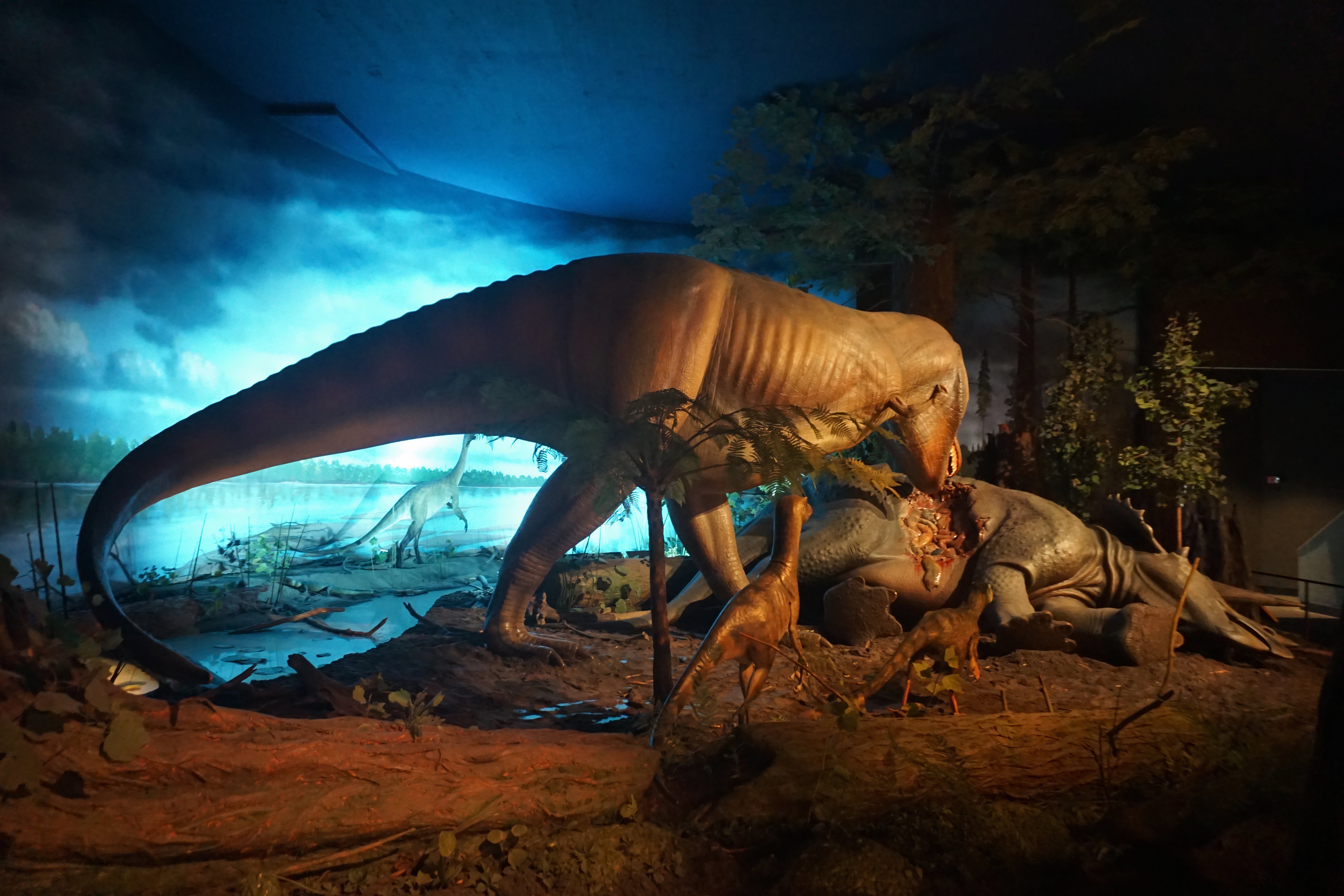 Tiny Builders Vs. The Rain! 🏗️🌧️ Can They Finish In Time - Foto 6