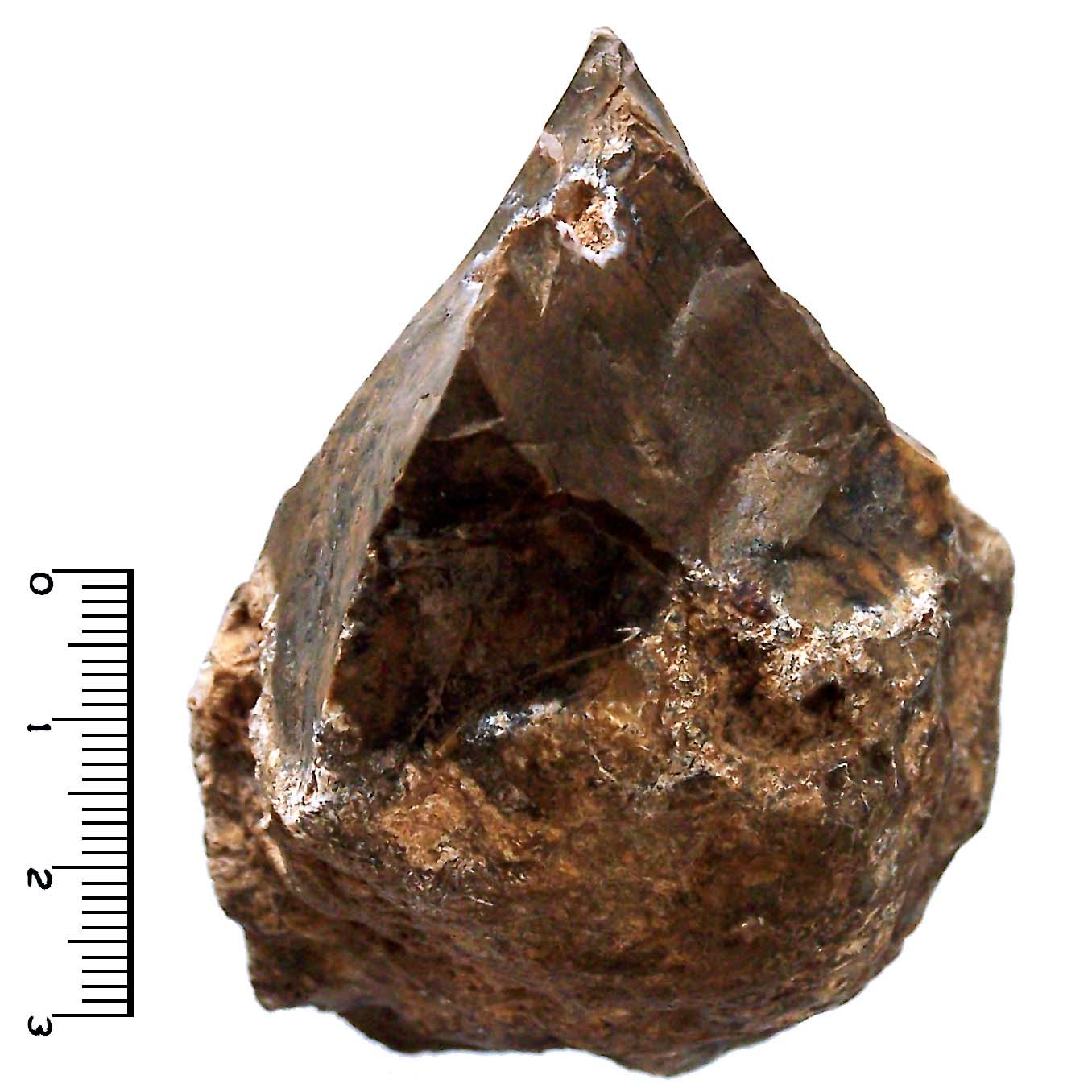Archaeologists Uncover Some Of The First-Ever Tools, But They Weren't ...