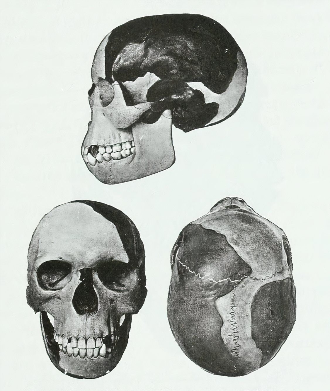 These Incredible Discoveries Turned Out To Be Hoaxes