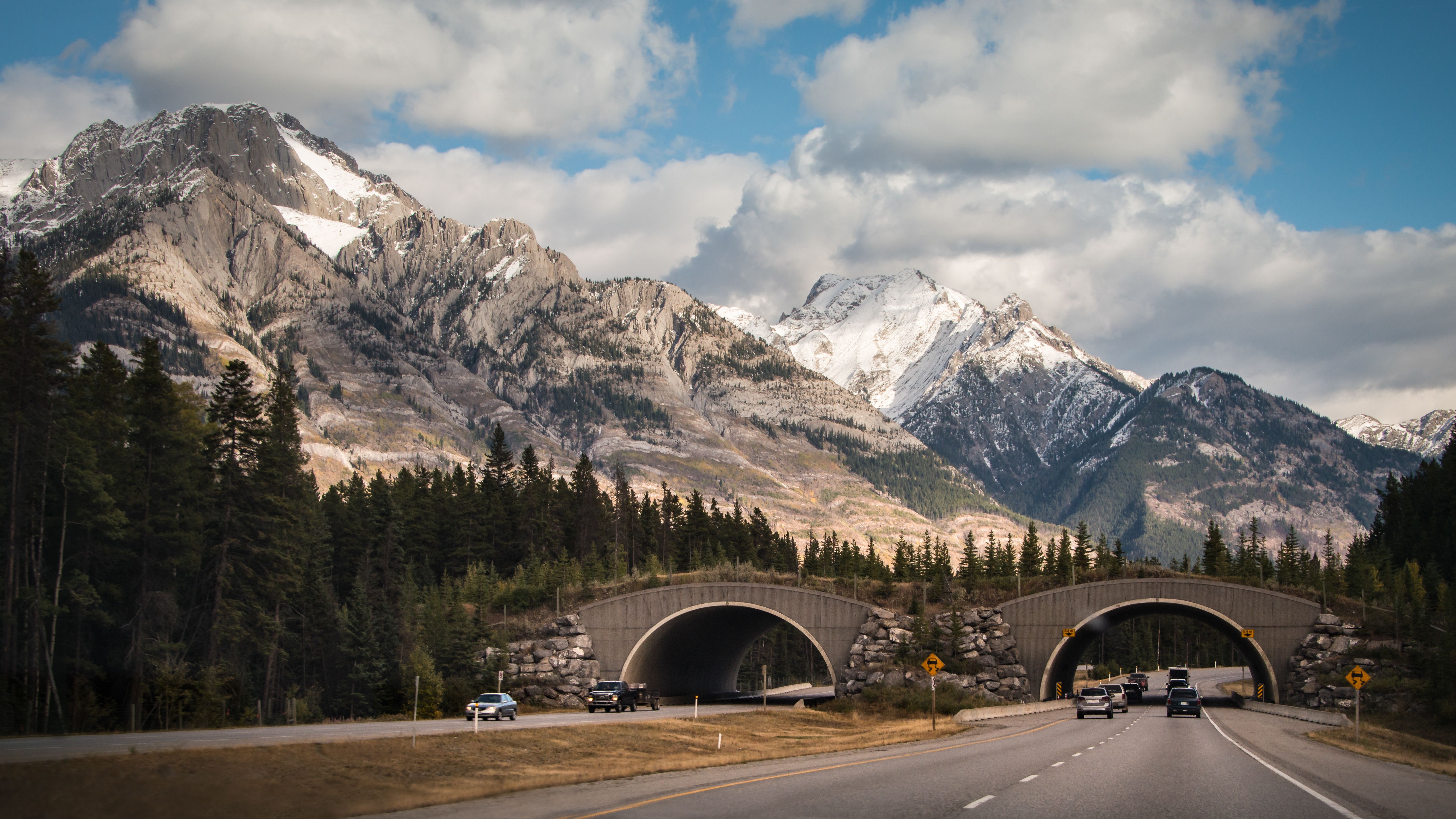 Canada's Top National Park's Genius Solution To Animal-Vehicle ...