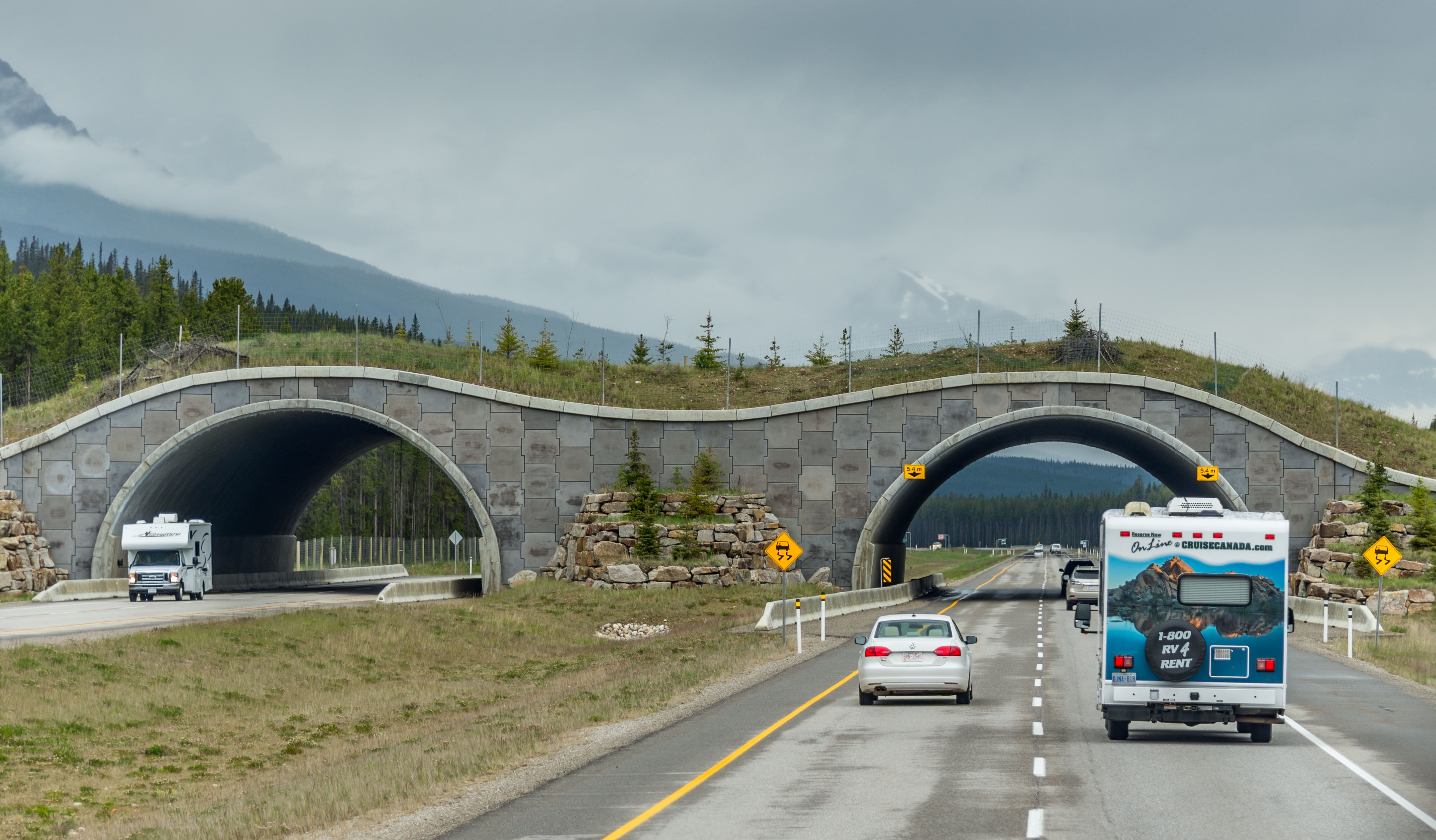 Canada's Top National Park's Genius Solution To Animal-Vehicle ...