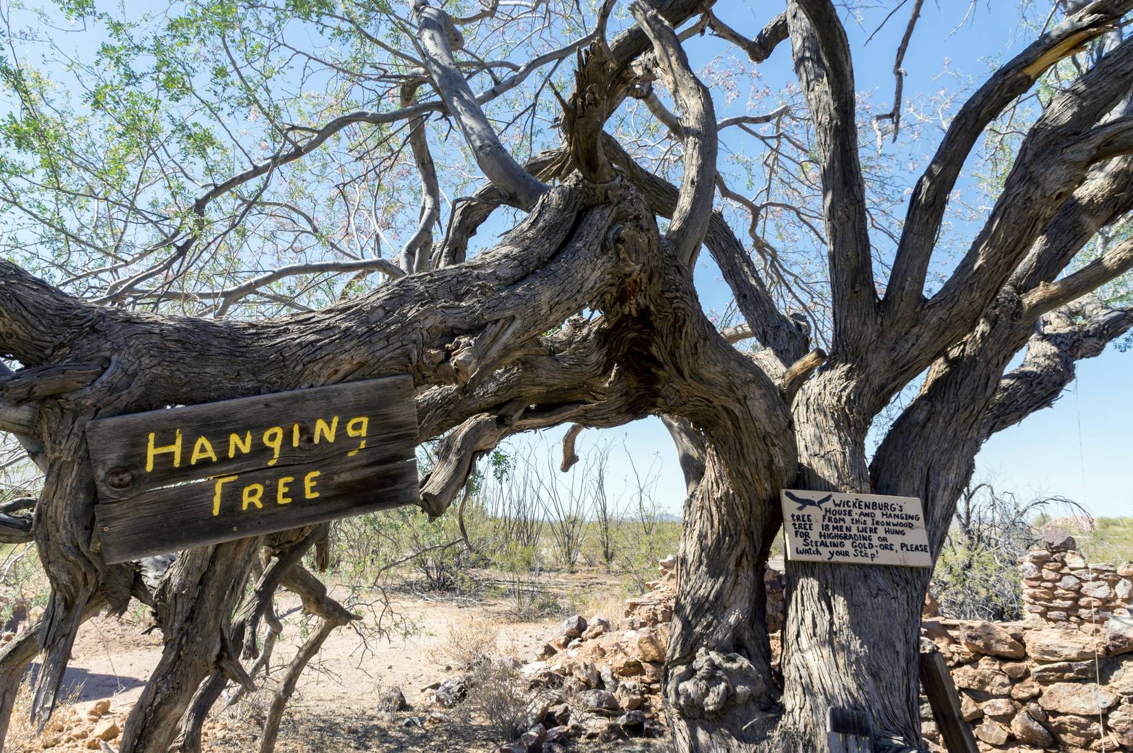 Hanging Tree at Vulture City, Arizona