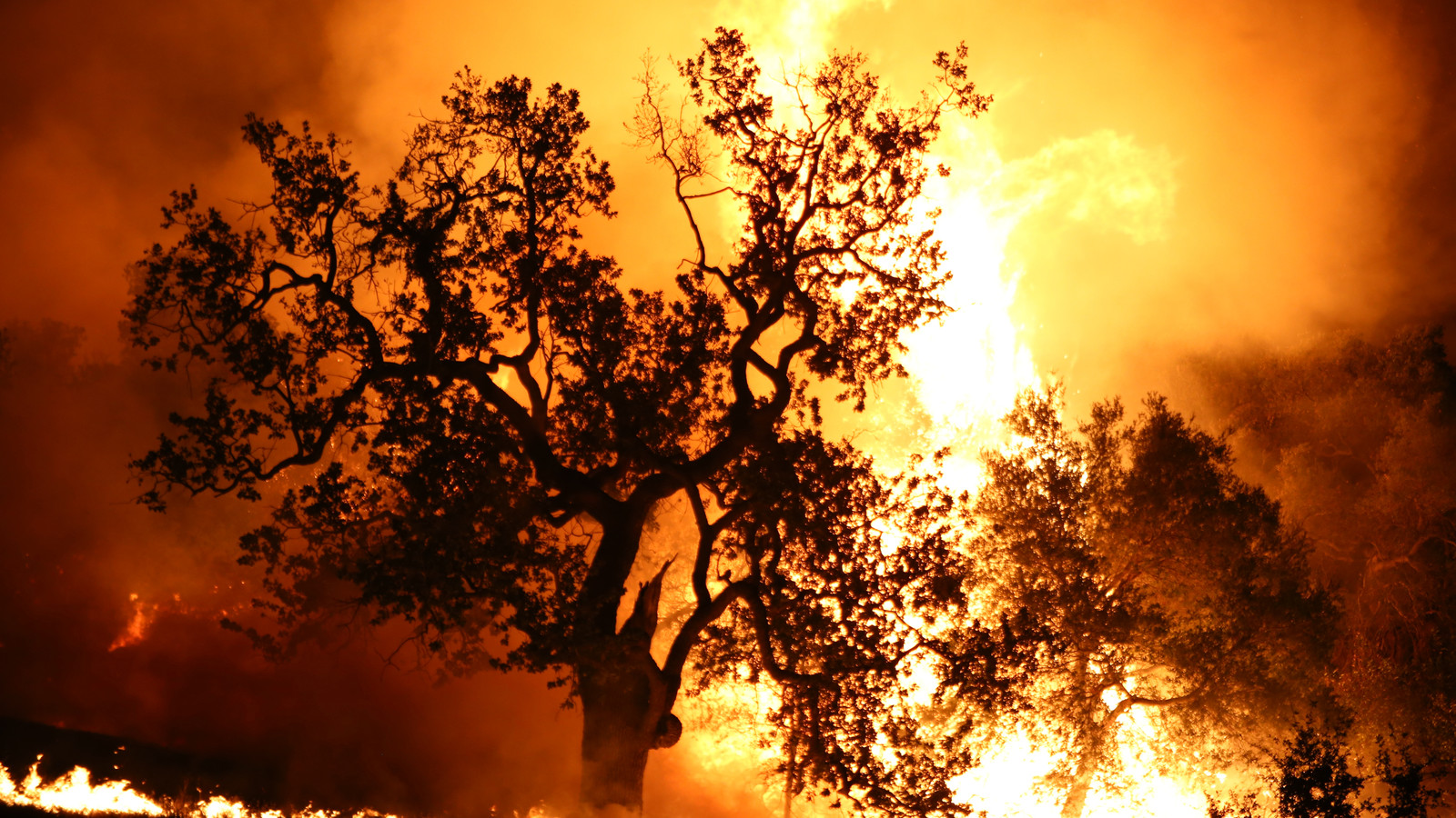 Thousands Flee As New Fast-Spreading Los Angeles Fire Explodes To 9,400 ...