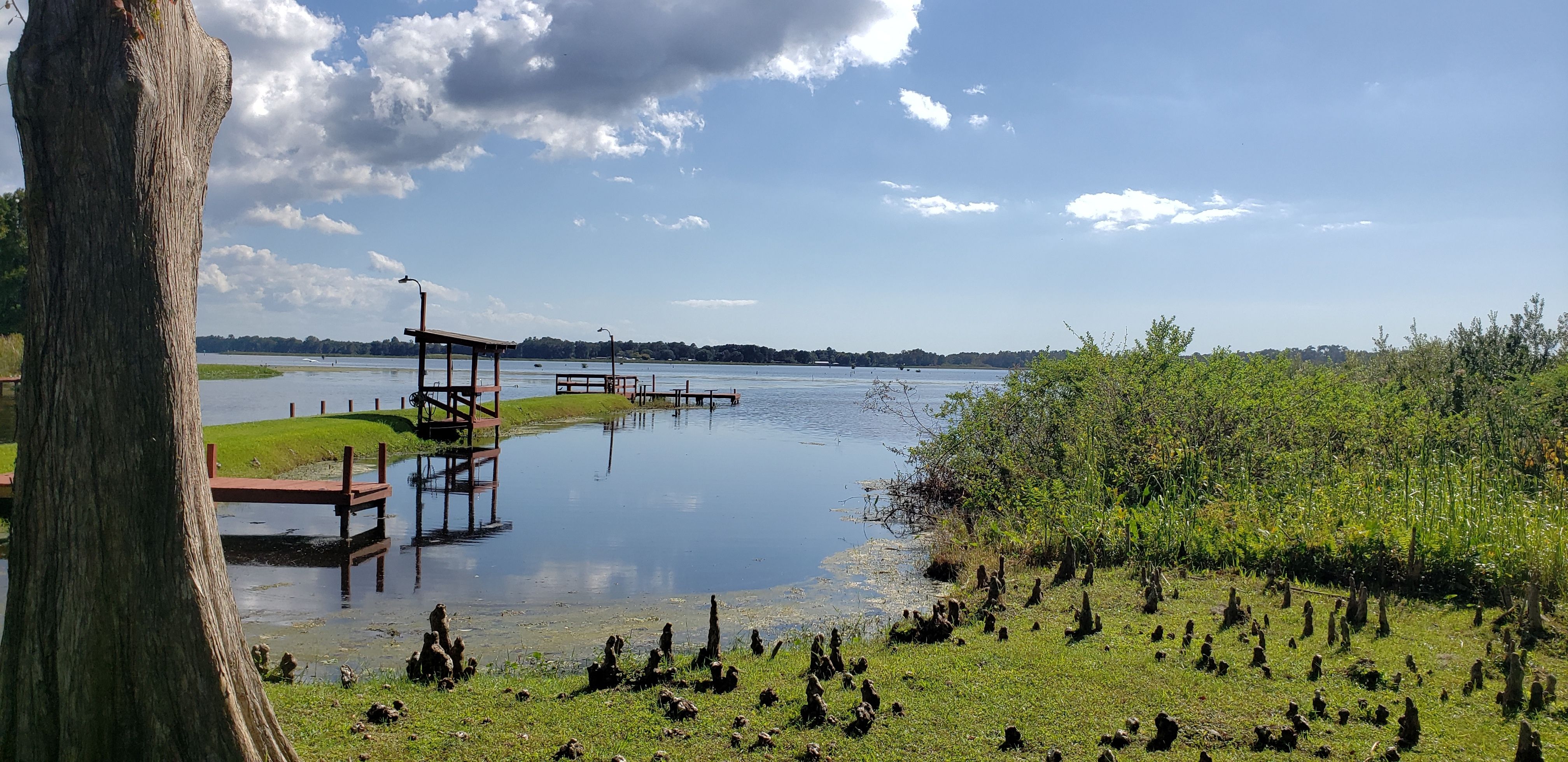 10 Most Alligator-Infested Lakes In Florida