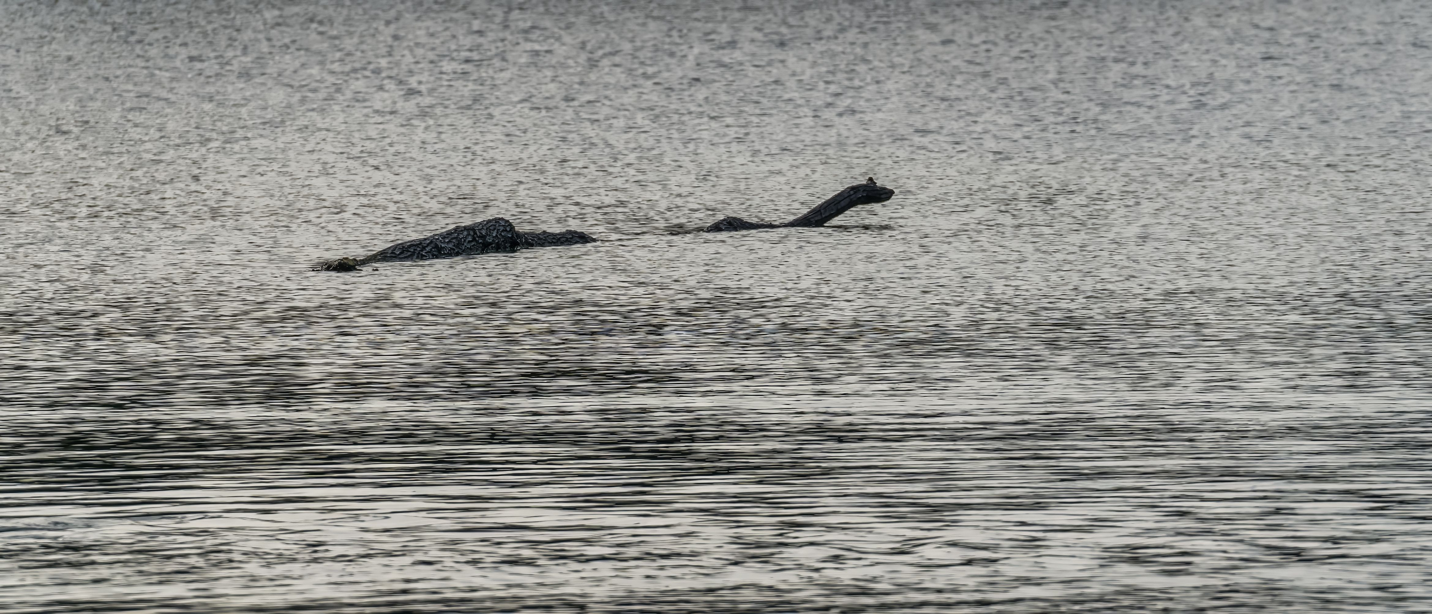 Is The Loch Ness Monster Mystery Finally Solved? An Expert Thinks So