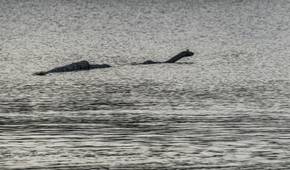 Is The Loch Ness Monster Mystery Finally Solved? An Expert Thinks So