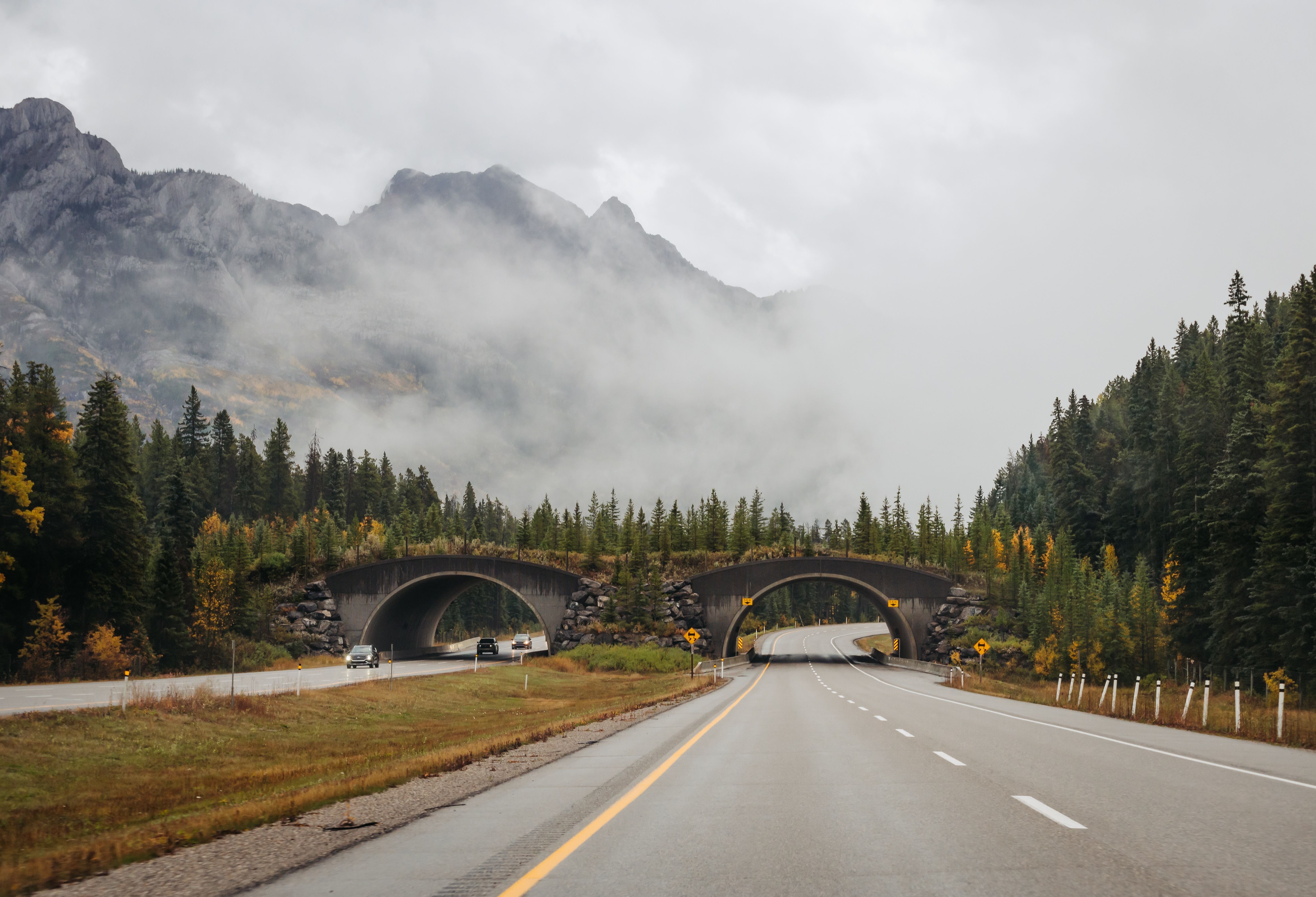 Canada's Top National Park's Genius Solution To Animal-Vehicle ...