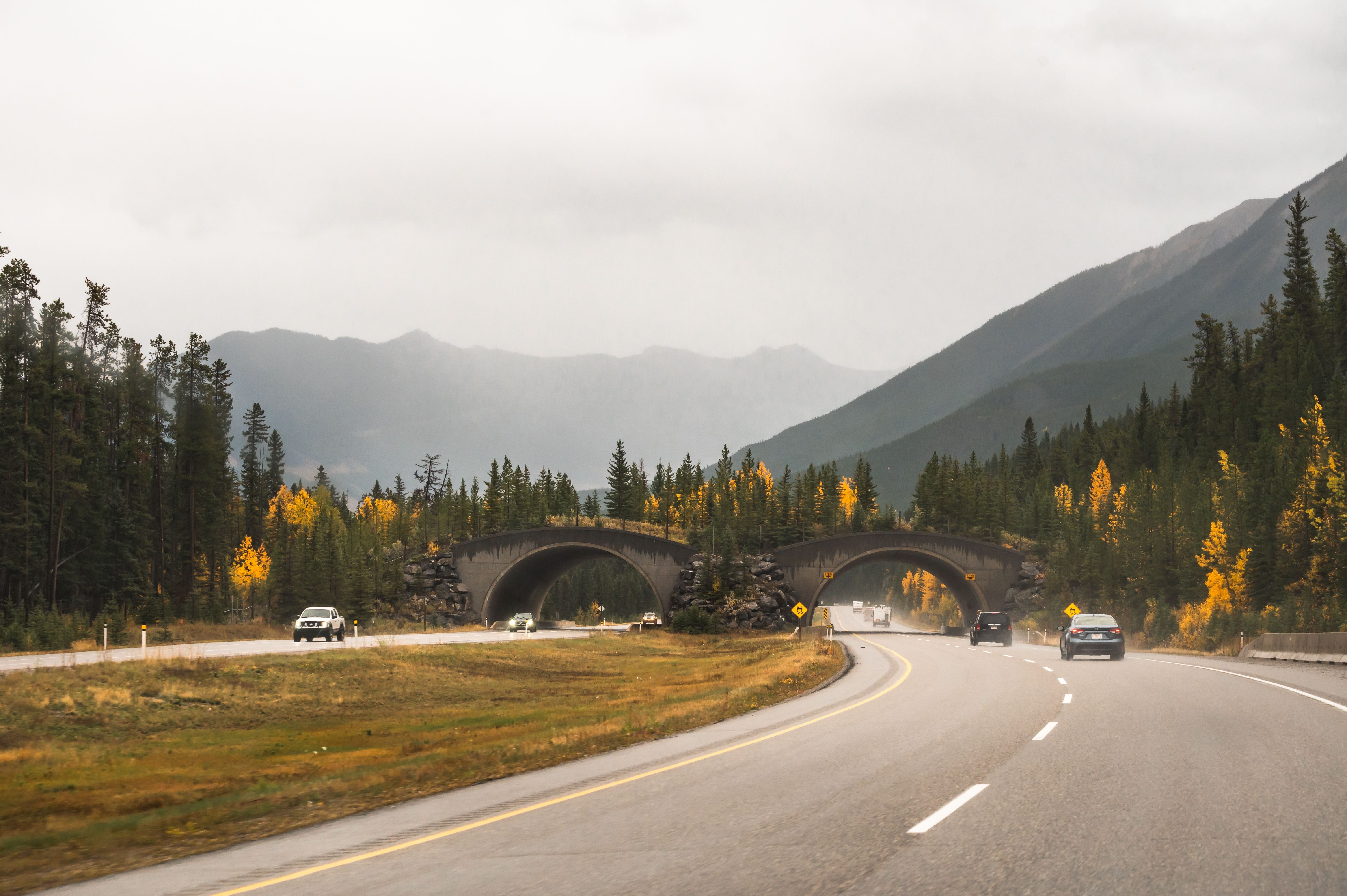 Canada's Top National Park's Genius Solution To Animal-Vehicle ...