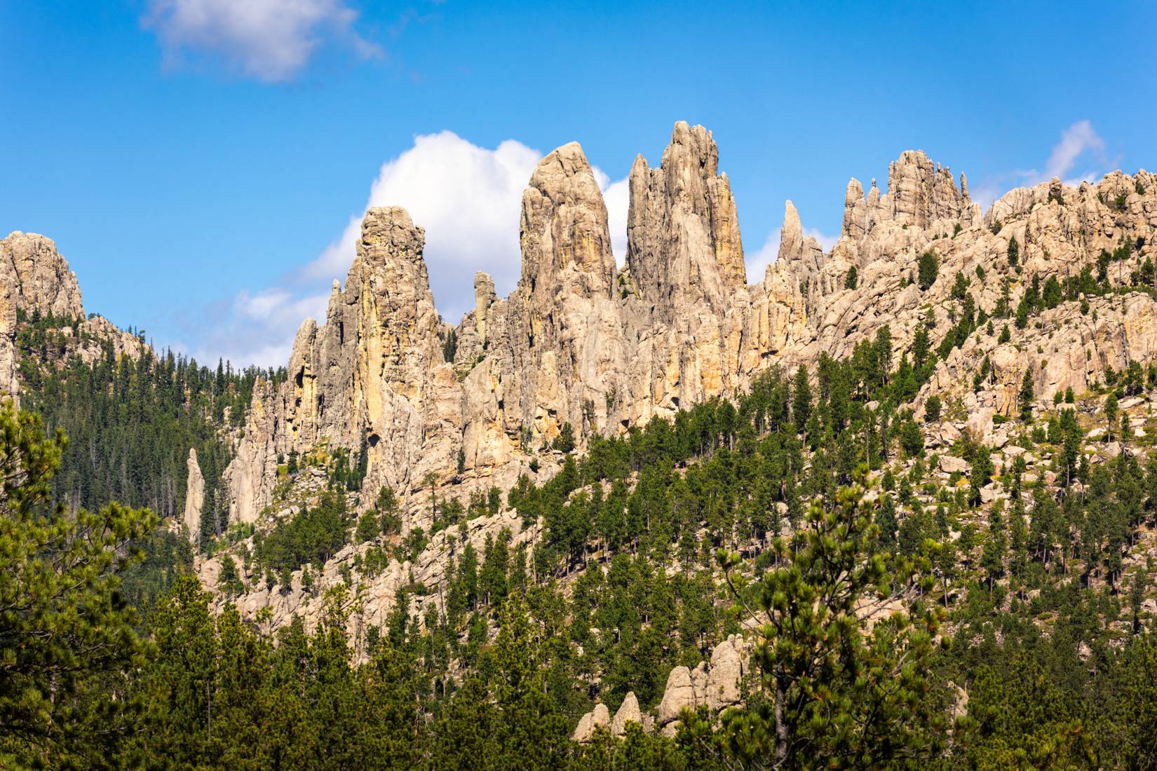 Cathedral Spires along the Needles highway in the Black Hills mountains within Custer State Park, South Dakota. 