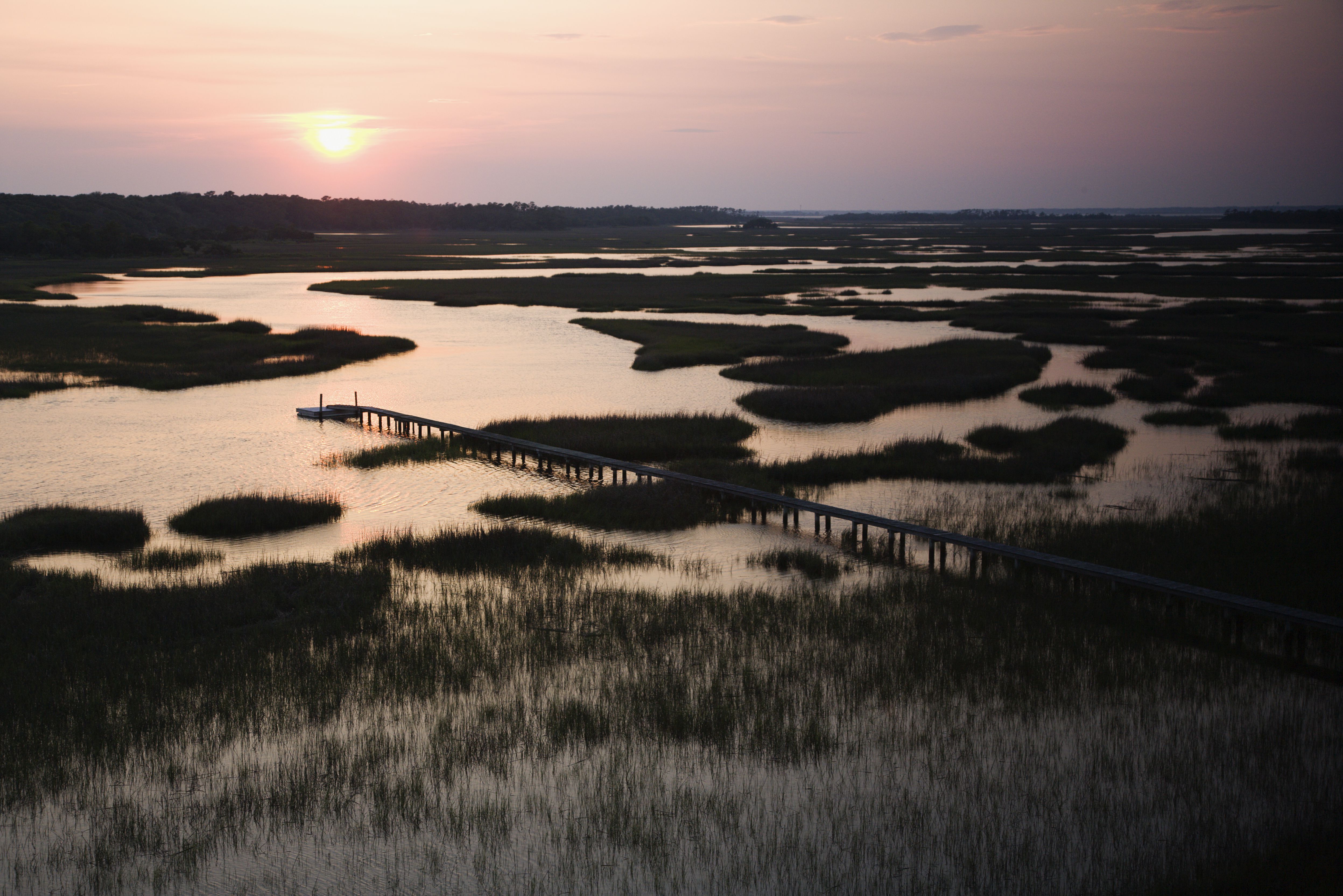 North Carolina's 