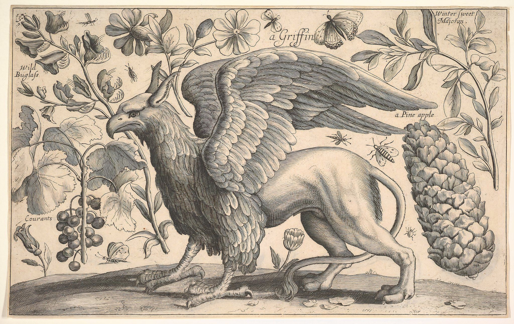 Animal Legends That Are Actually Rooted In Facts