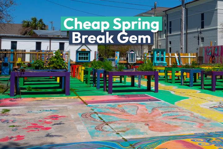 The Spring Broke Spring Break Travel | TheTravel
