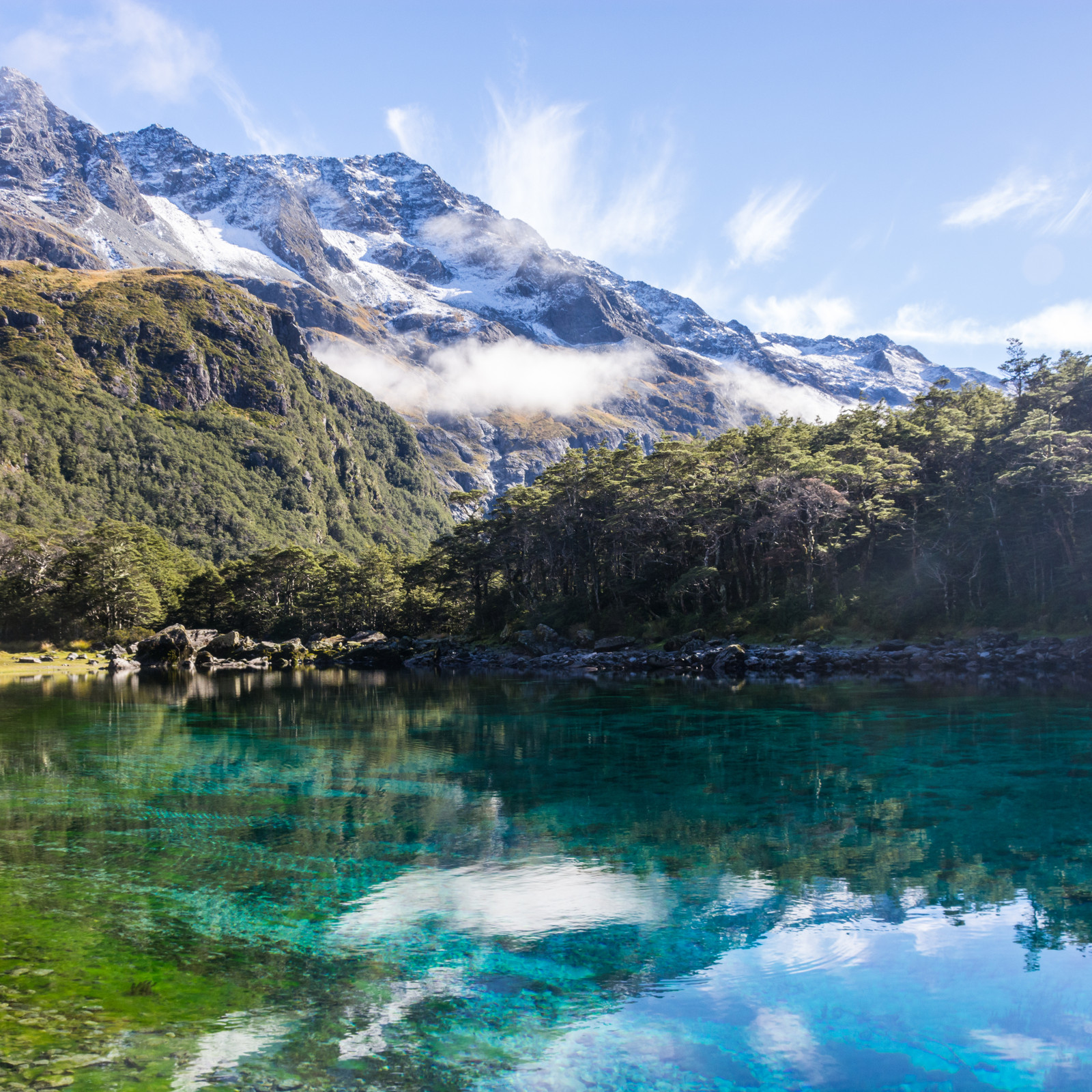 New Zealand Media and Culture