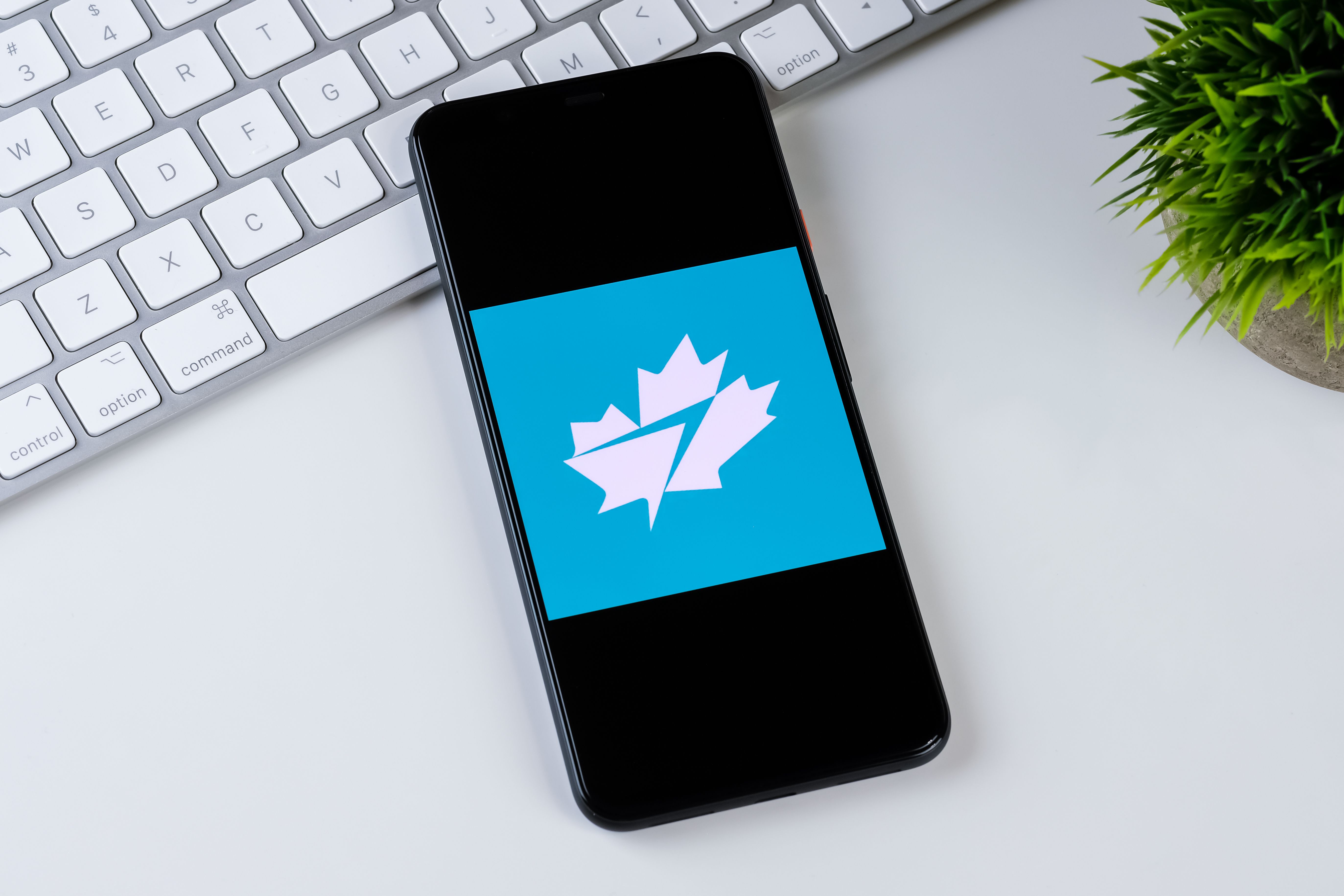 WestJet Rewards Announces Biggest Loyalty Improvements With Bold New ...