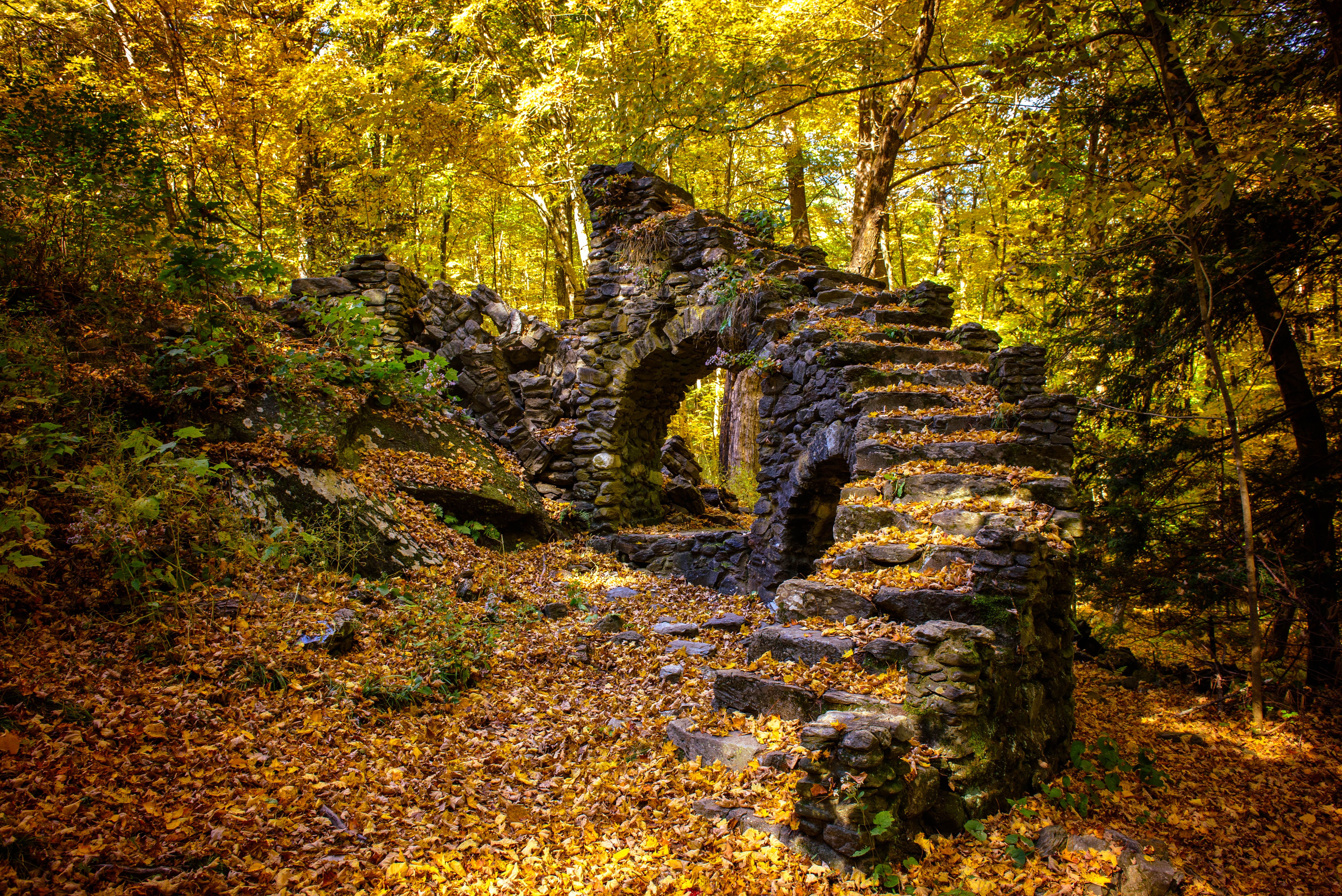 Why Some People Fear This Fairy-Tale New England Forest With