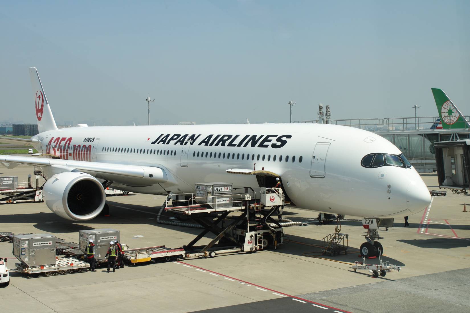 Japan Airlines Dreamliner parked on tarmac
