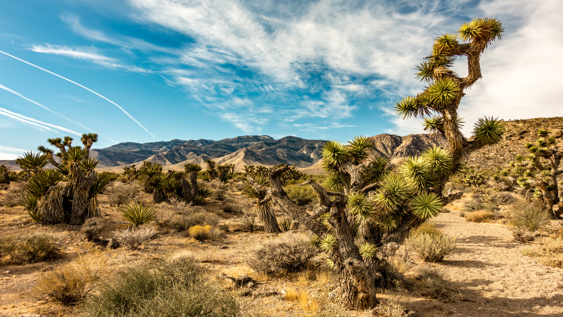 Conservationists Concerned As Land Quietly Acquired By Investors In ...