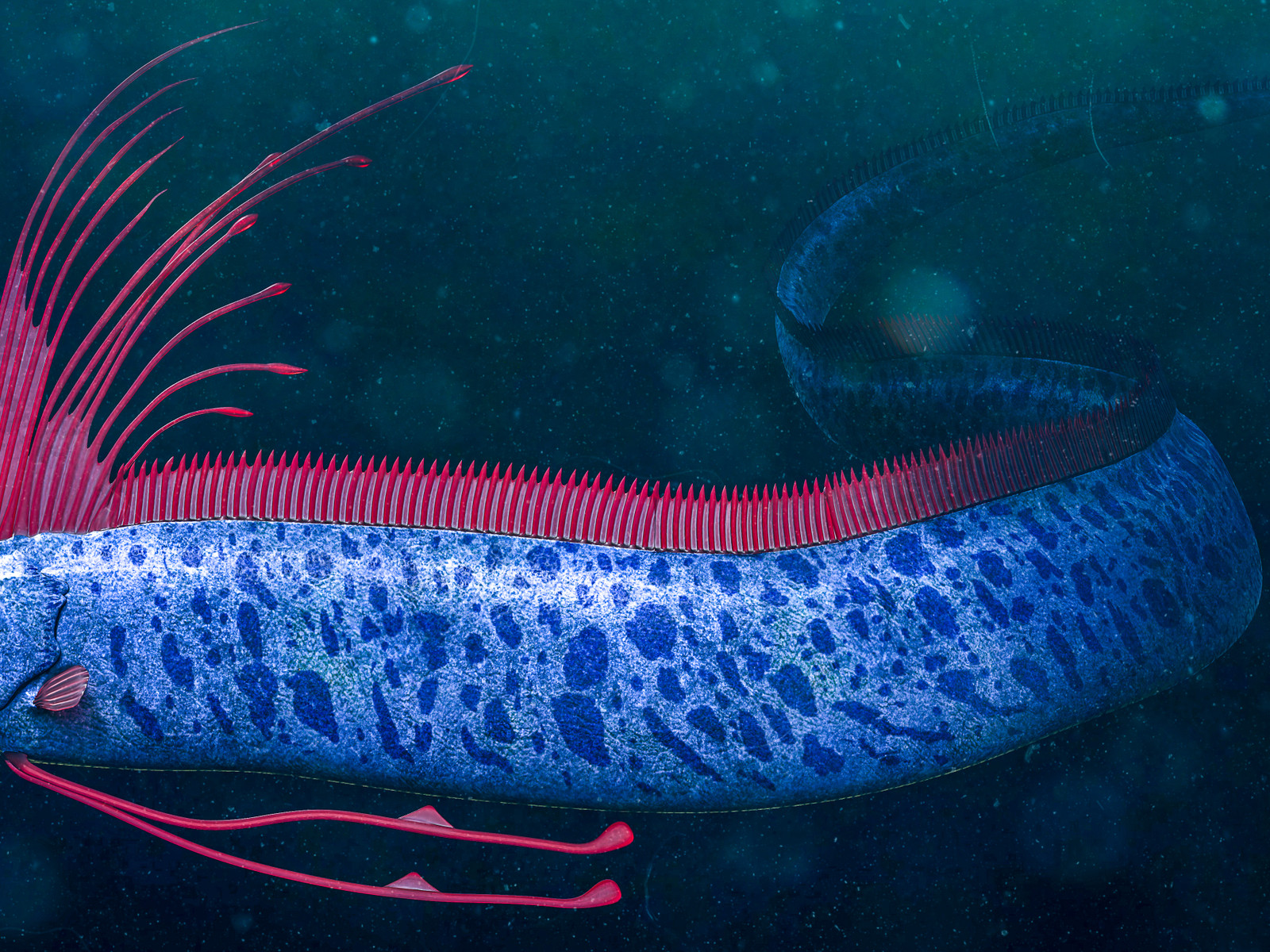 Legends Say The Doomsday Fish Warns Of Earthquakes And History Is Full Of  Chilling Examples, image size:1600x1200