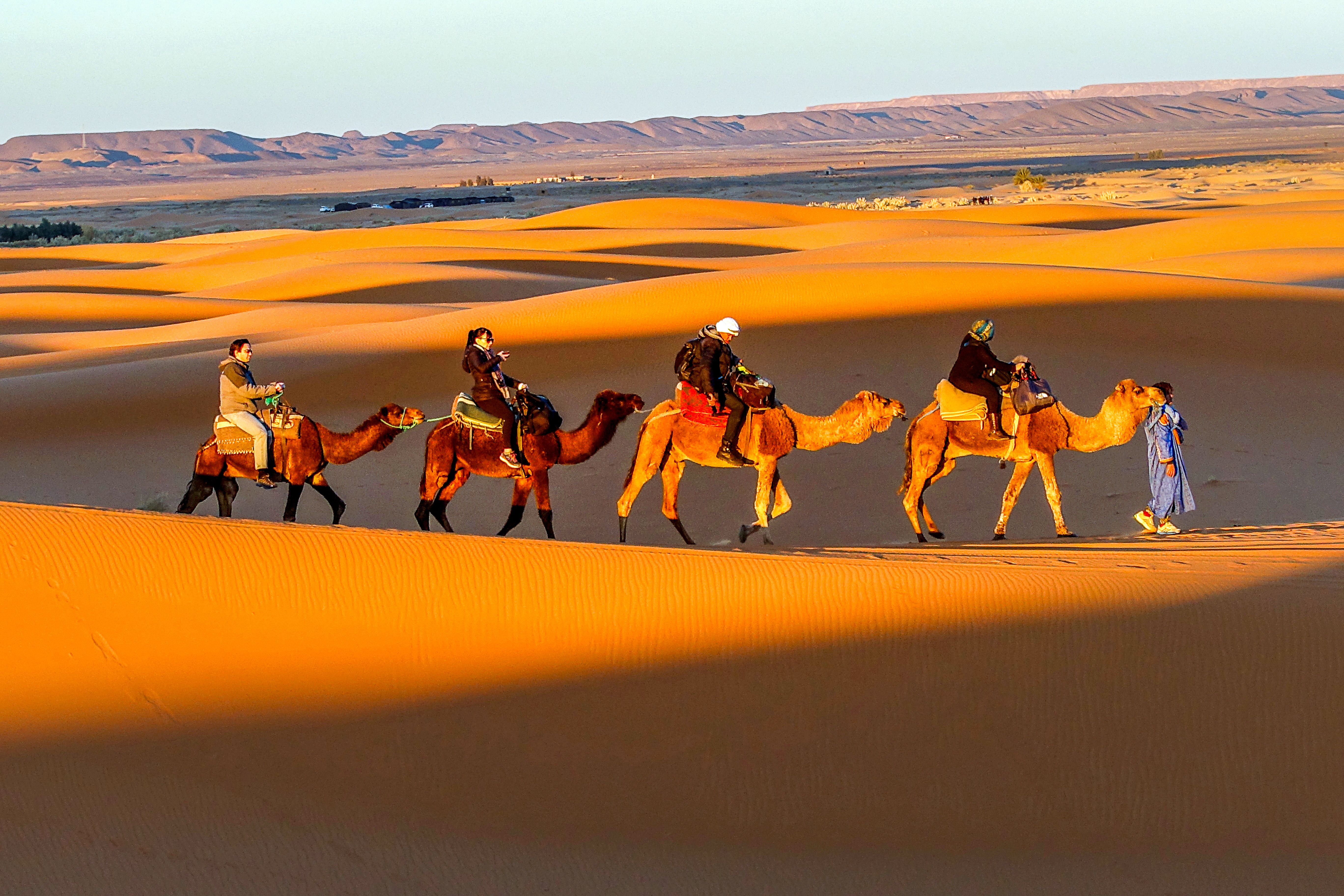 How Big Is An Acre? Breaking It Down In Feet, Miles, And Real-World ...