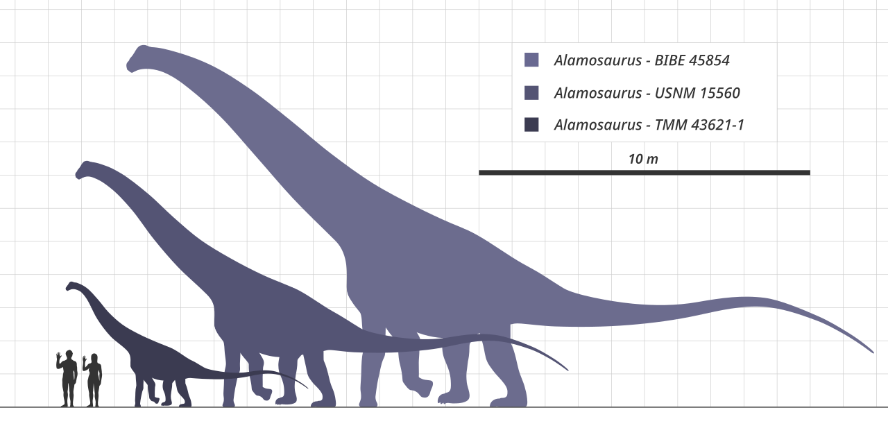 Scientists Discover New Dinosaur Species That Was A 