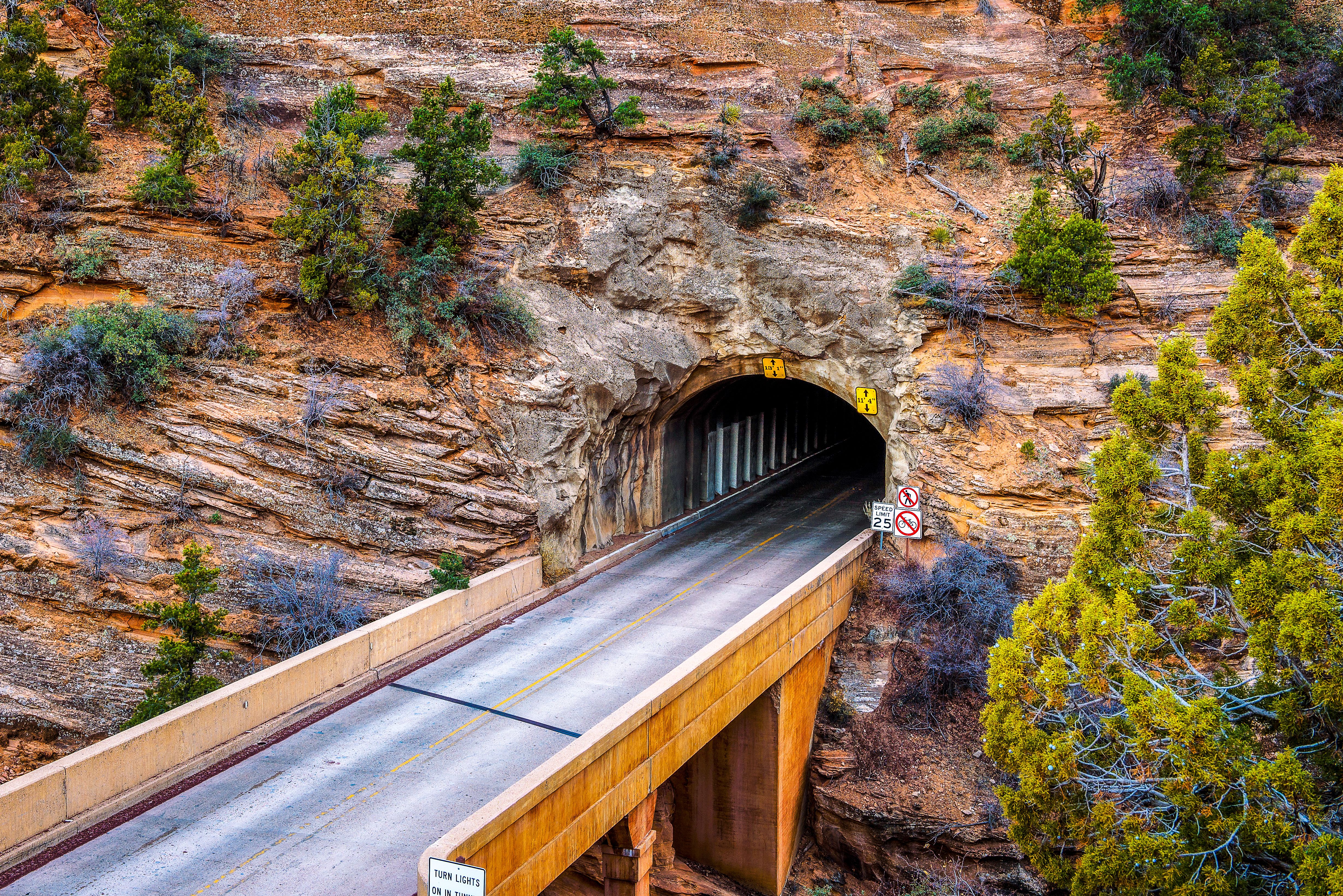 ILLUMINATED TUNNEL DX版エディション4/45 This U.S. National Park Will Put A 40-Minute Detour In Place For