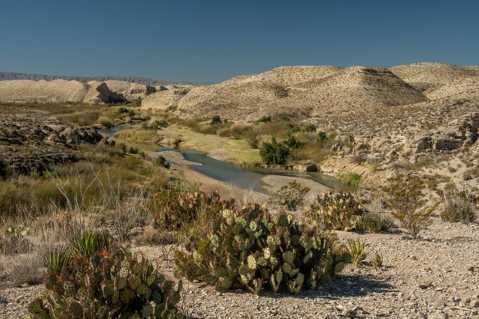 Prickly Pear Looks Out Over The Rio Grande River And Hot Springs In Big Bend National Park