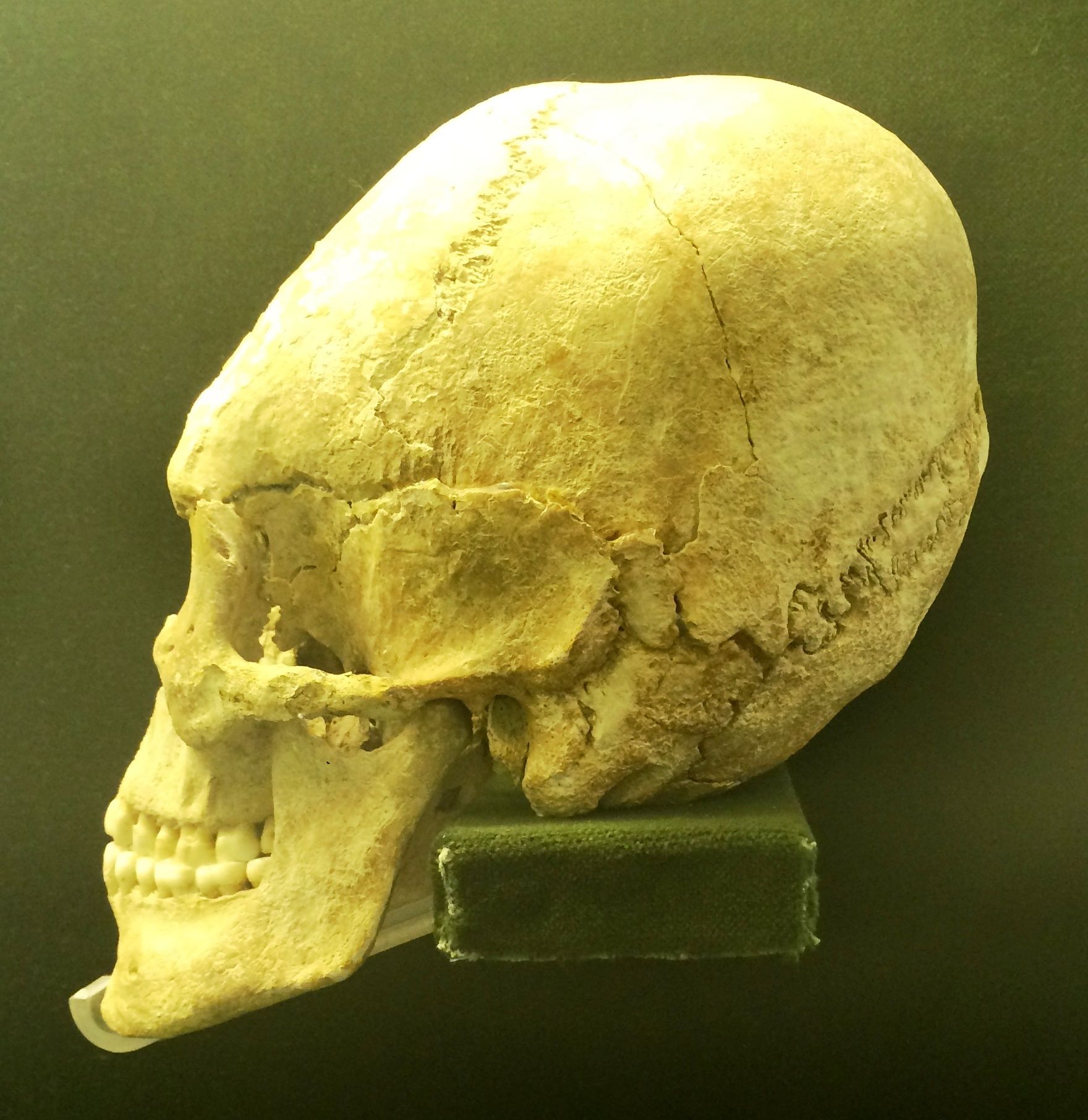 DNA Reveals Mysterious Origins Of The People Who Helped Topple The ...