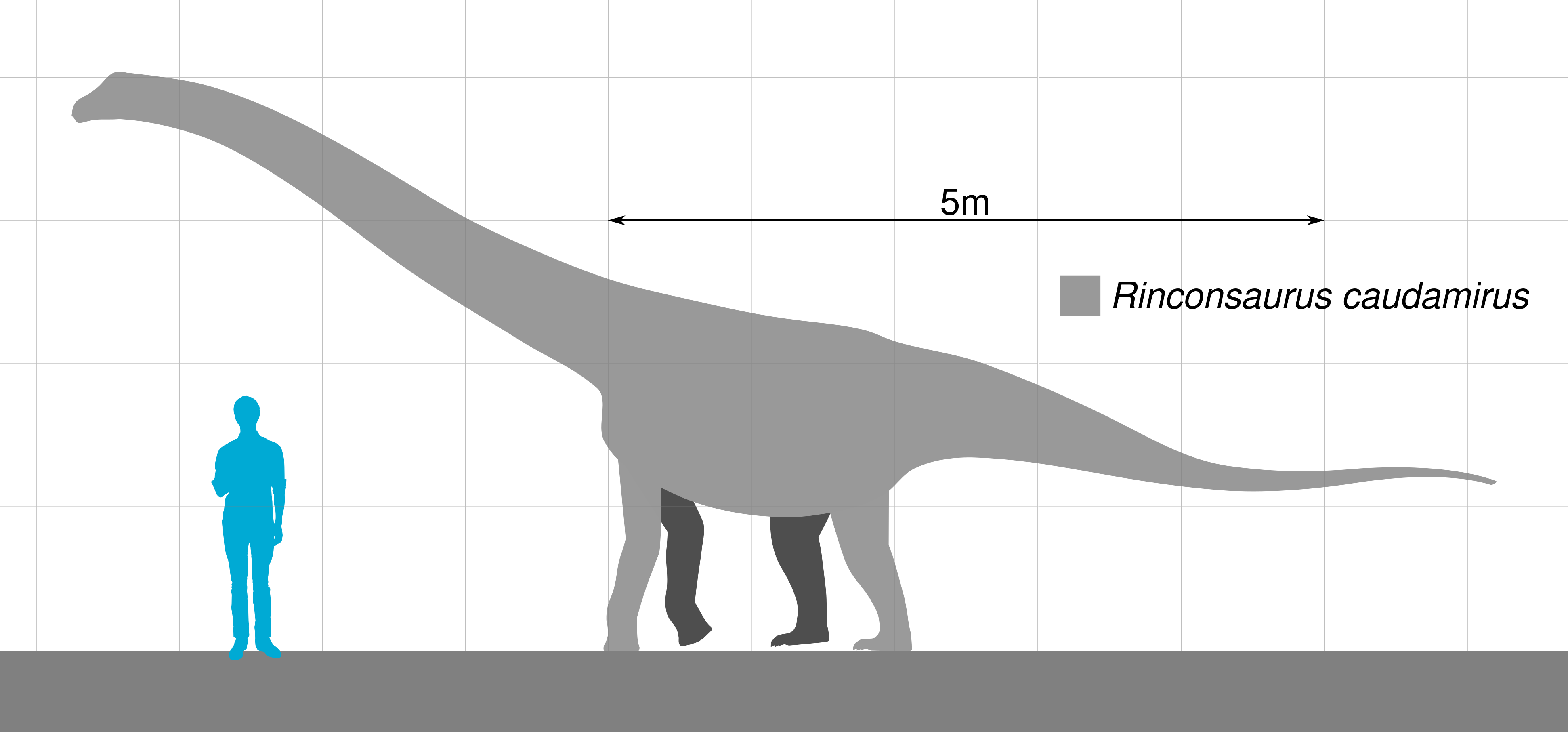 Scientists Discover New Dinosaur Species That Was A 