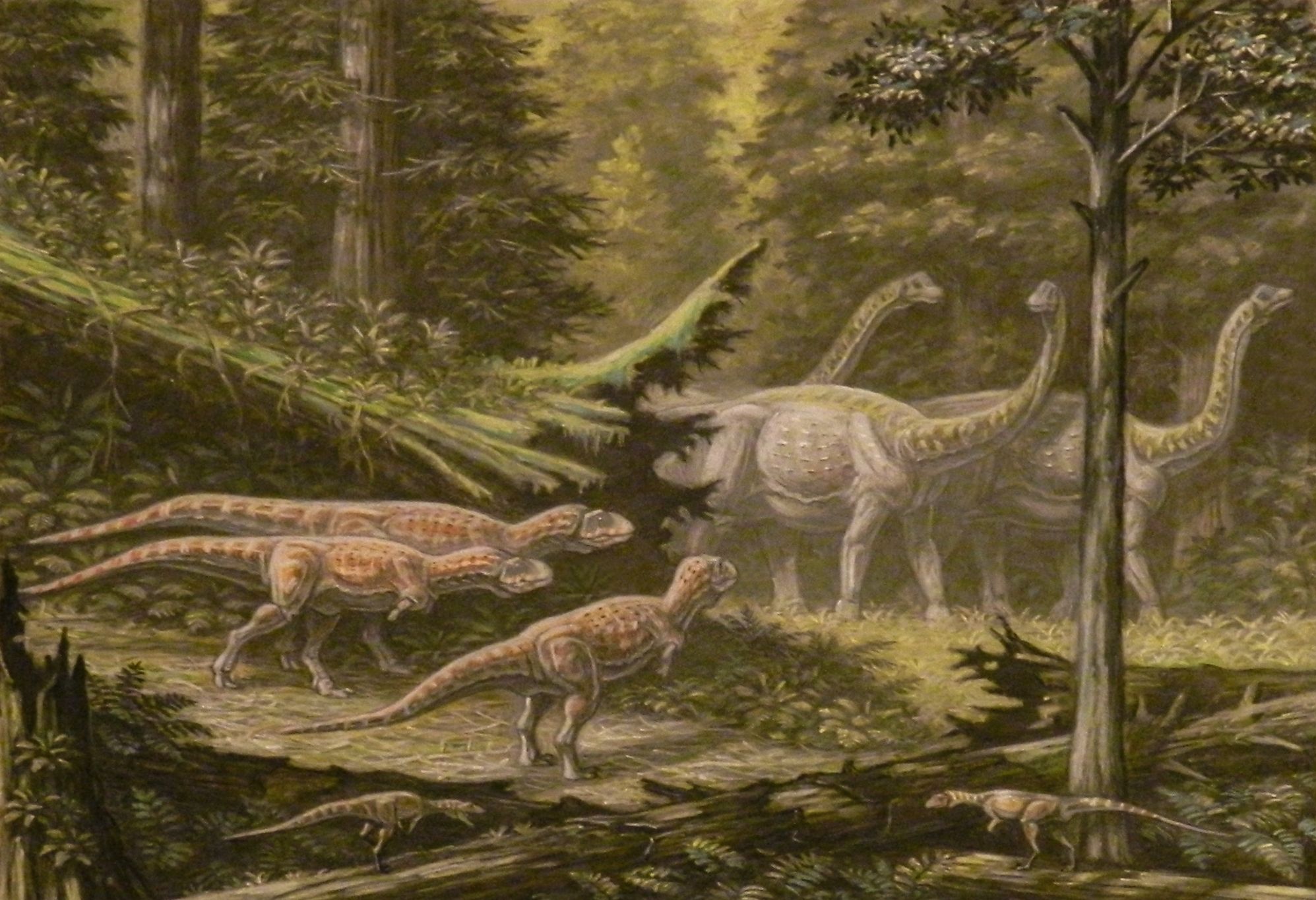 Scientists Discover New Dinosaur Species That Was A 