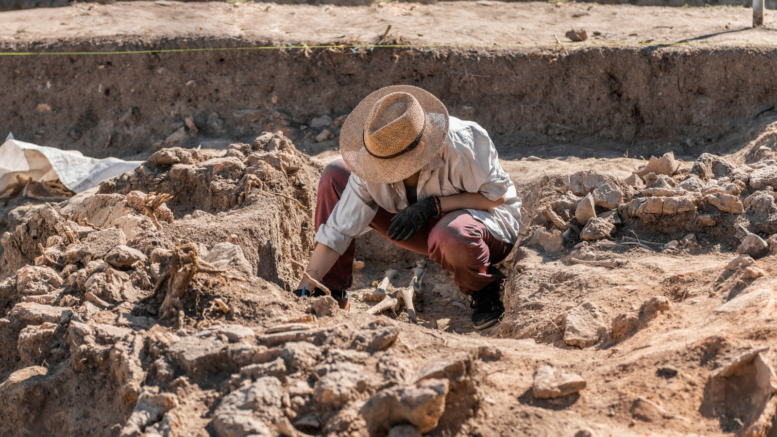 Archaeologists Say 20,000-Year-Old Stone Tools Could "Rewrite The Opening Chapter Of Human History In The Americas"