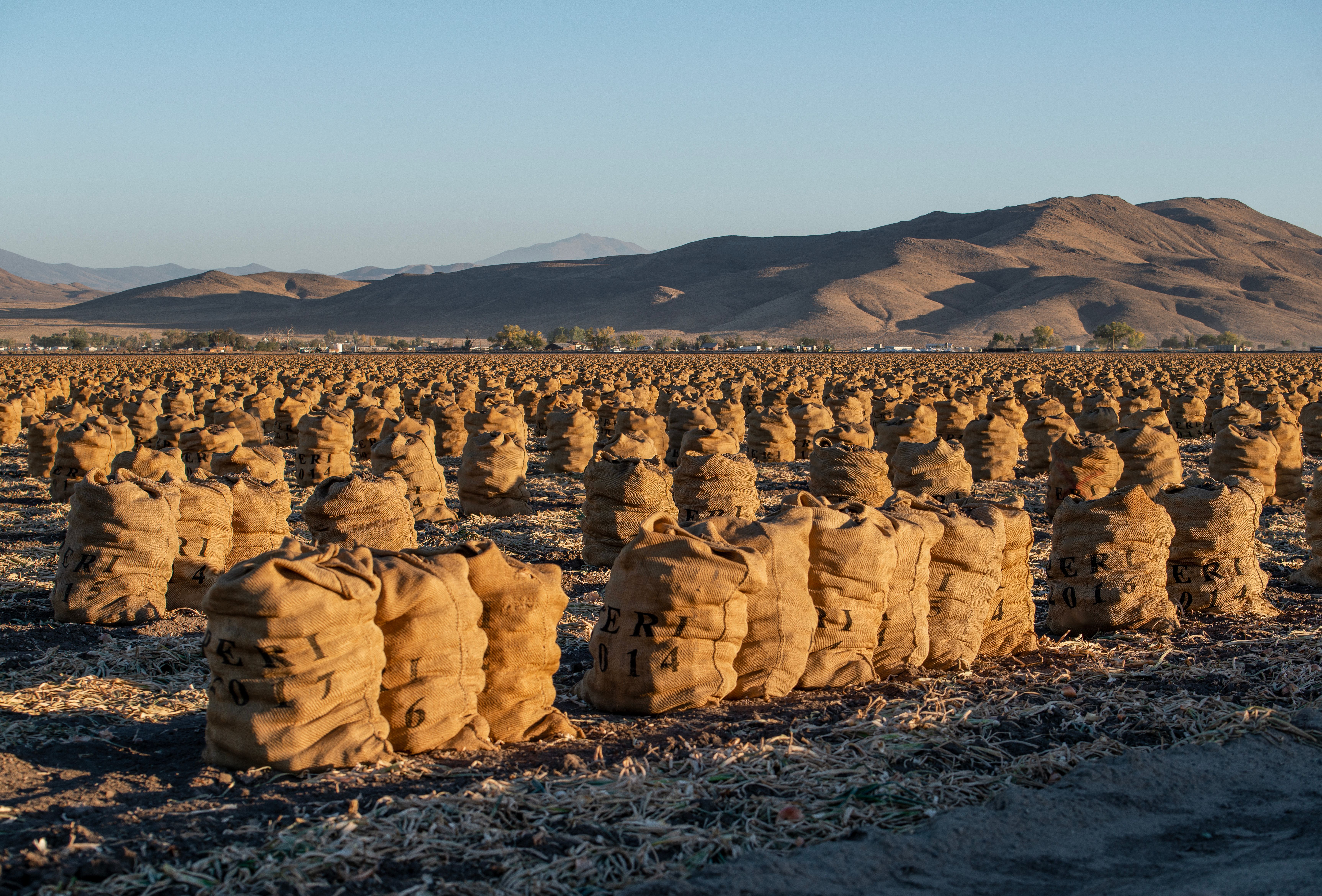 This Countryside Nevada Town With A Strange Nickname Is Surprisingly ...