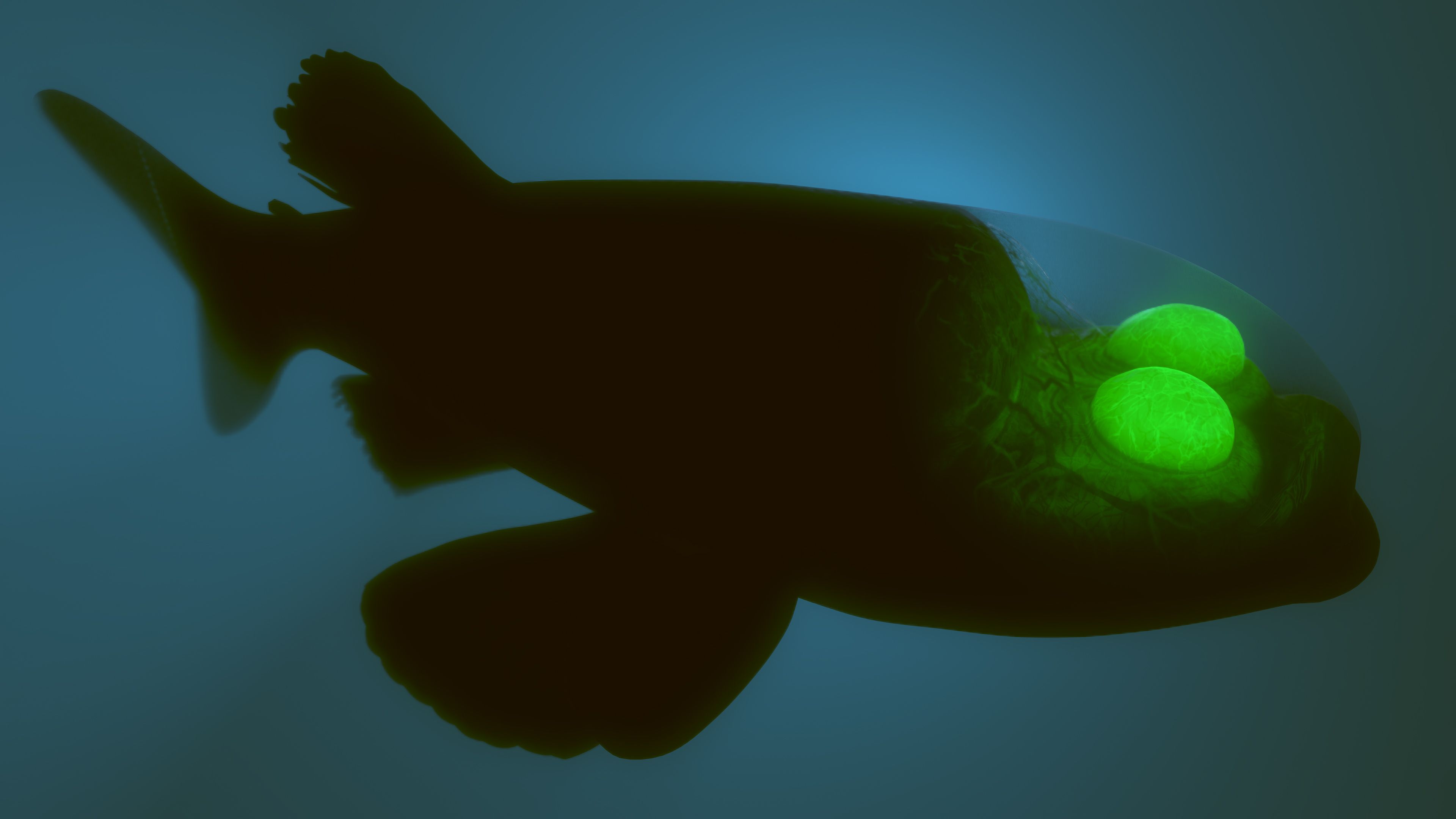 This Odd Sea Creature With A Literal See-Through Head Is Nothing More ...