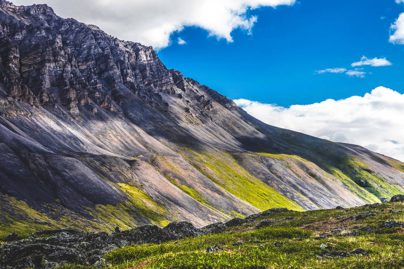 Landscape view of Gates of the Arctic National Park (Alaska), a mountain can be seen on the left on a cloudy day.