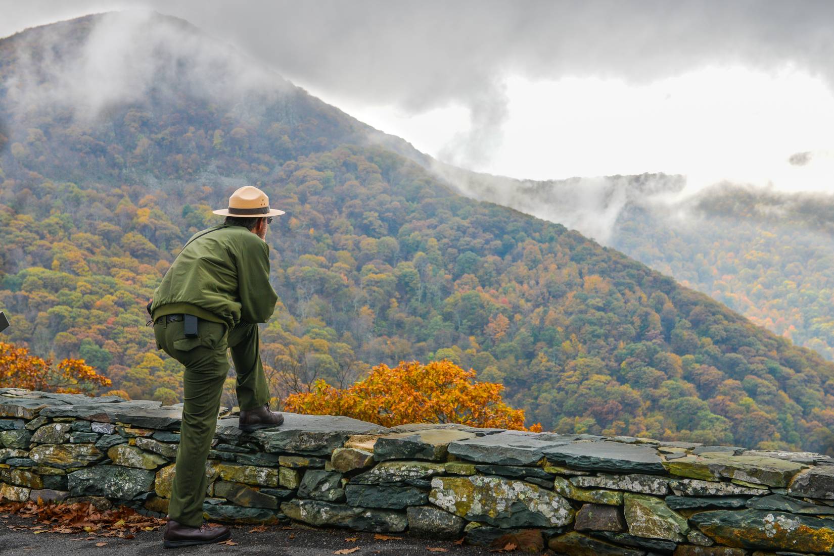 Former NPS Employees Beg For Immediate Closure Of All National Parks If ...