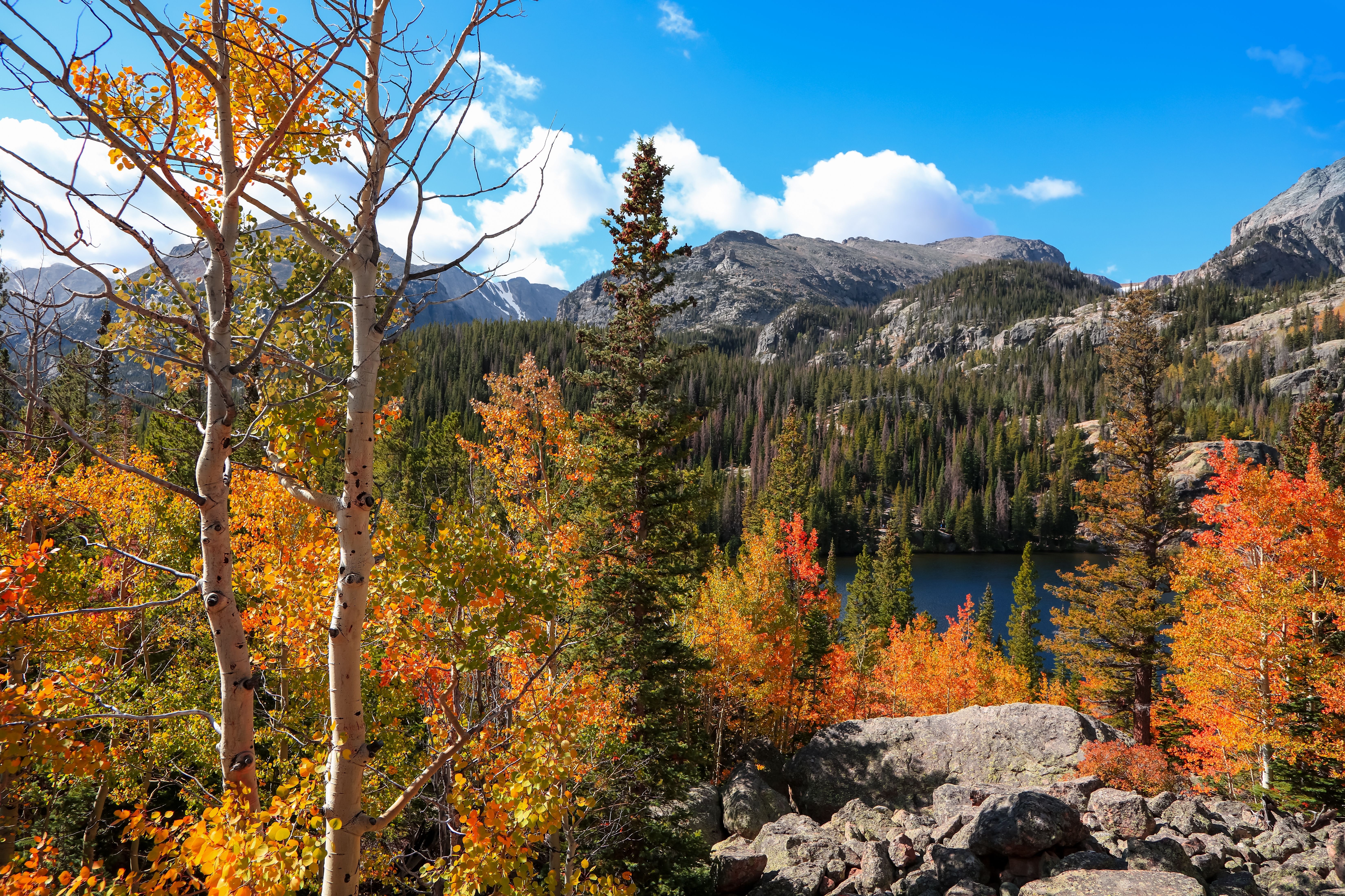 Fall foliage at Rocky Mountain National Park