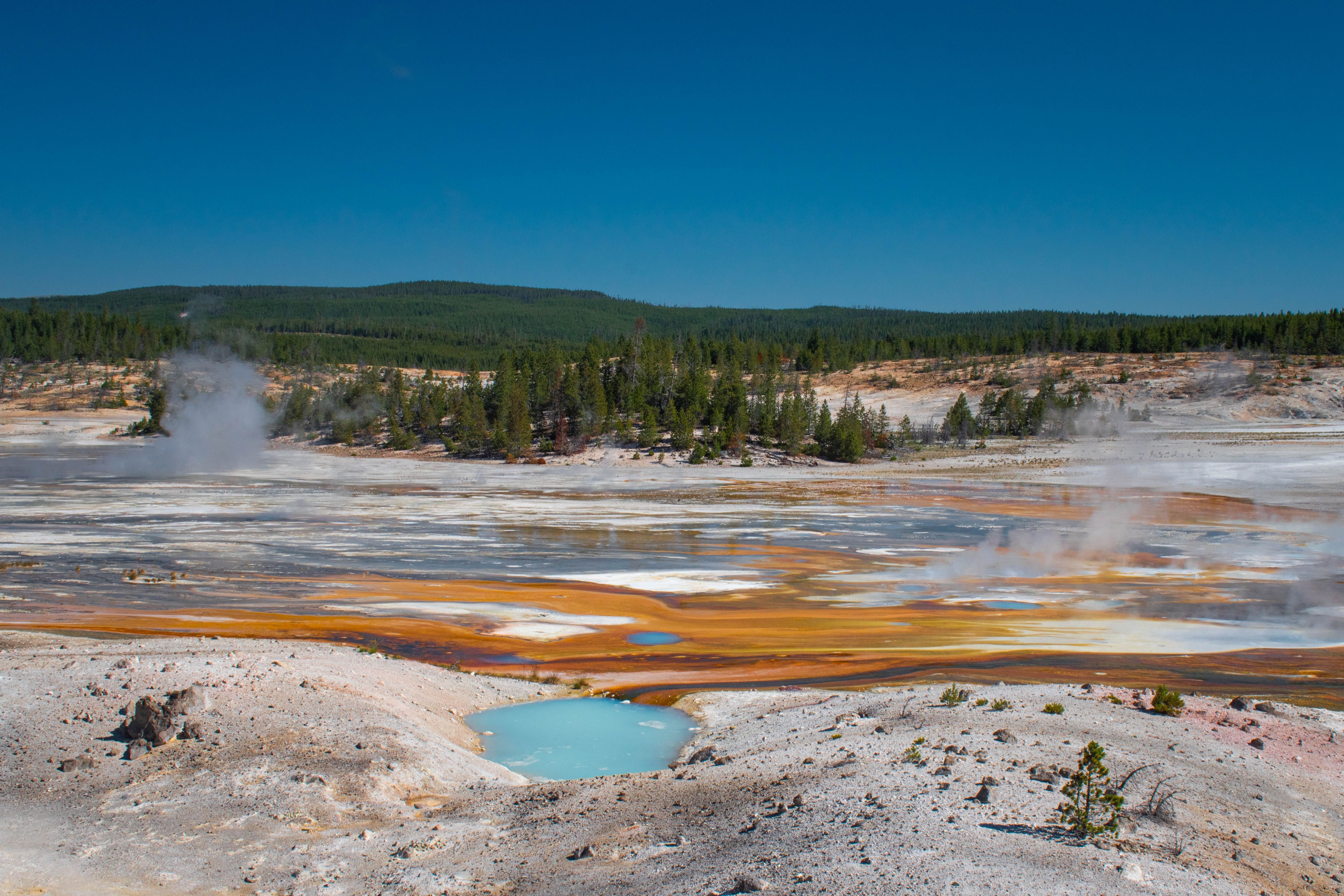 Visitor Loses His Life At Yellowstone National Park After Ignoring ...