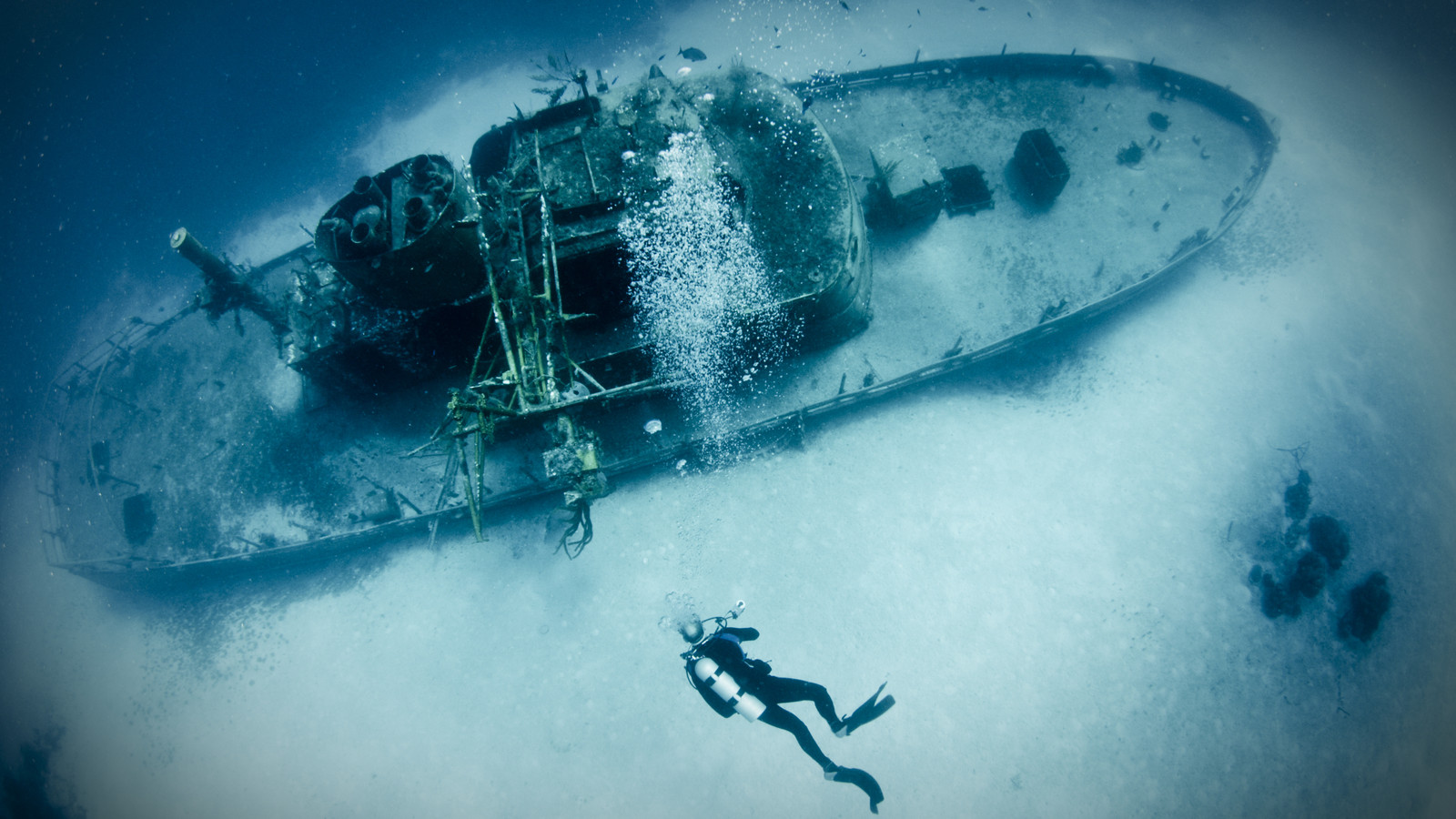 A Heartbreaking Discovery Is Made Underwater At The Great Lakes 132 ...