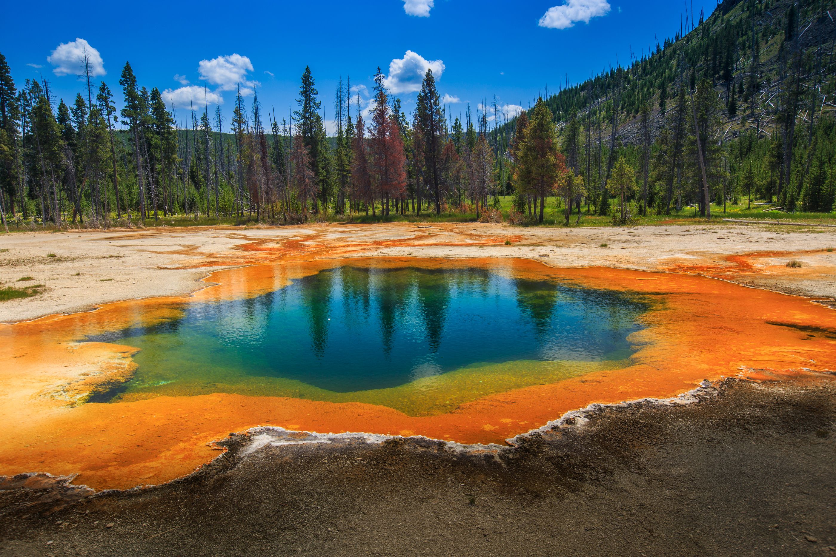 Visitor Loses His Life At Yellowstone National Park After Ignoring ...