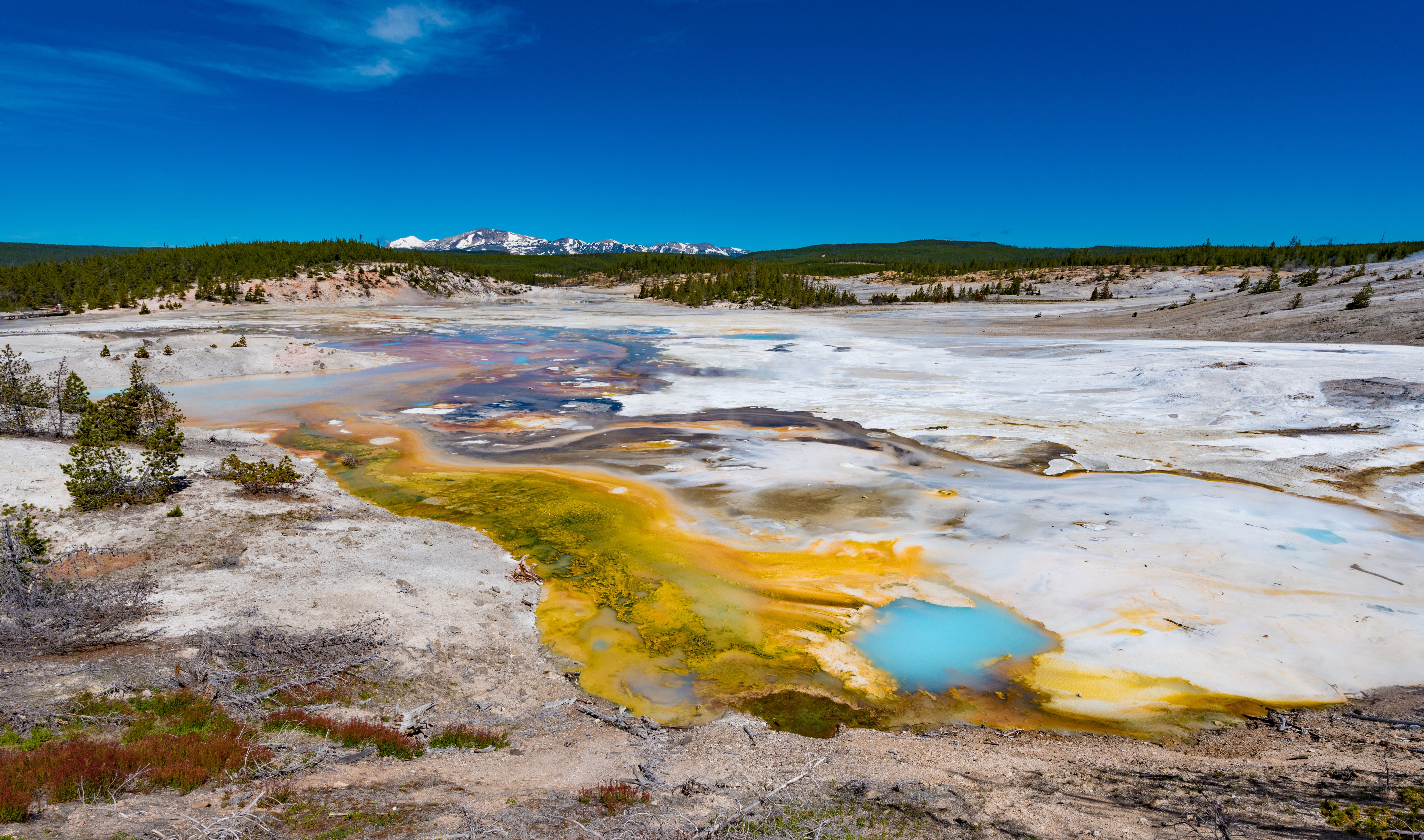 Visitor Loses His Life At Yellowstone National Park After Ignoring ...