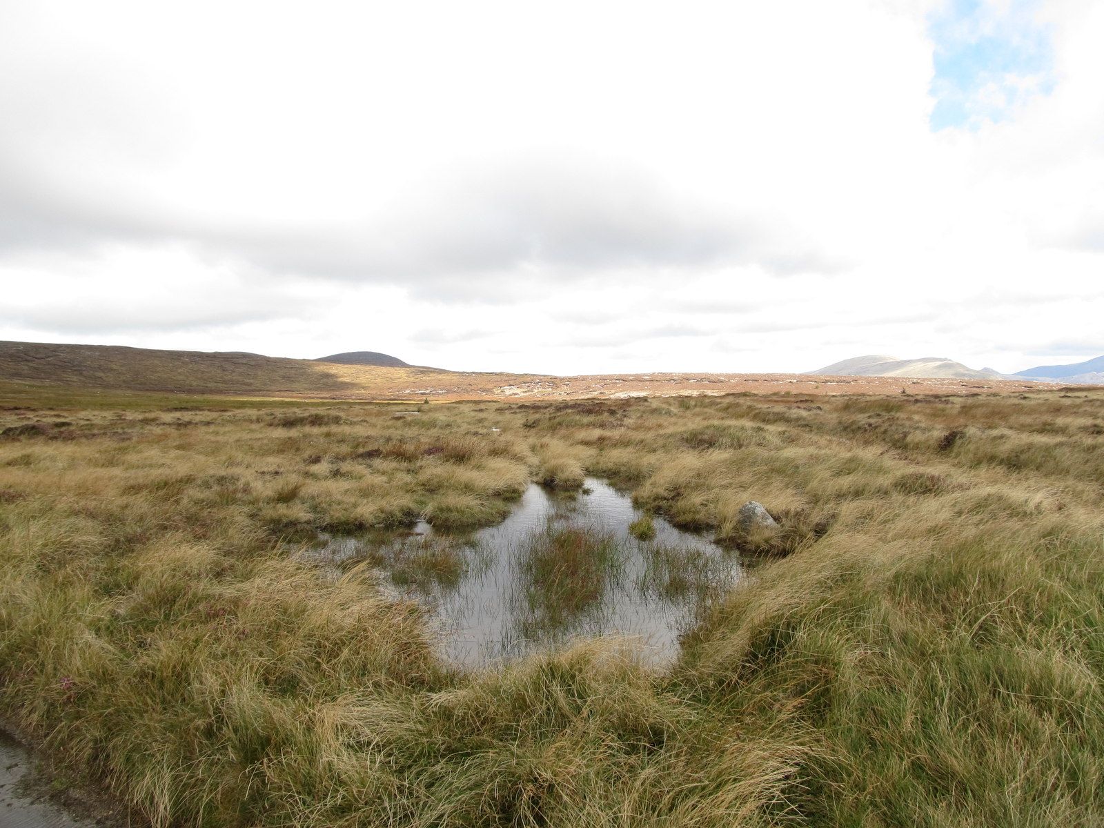 Decapitated 2,000-Year-Old Bog Remains Are Of Someone Unexpected, & The ...