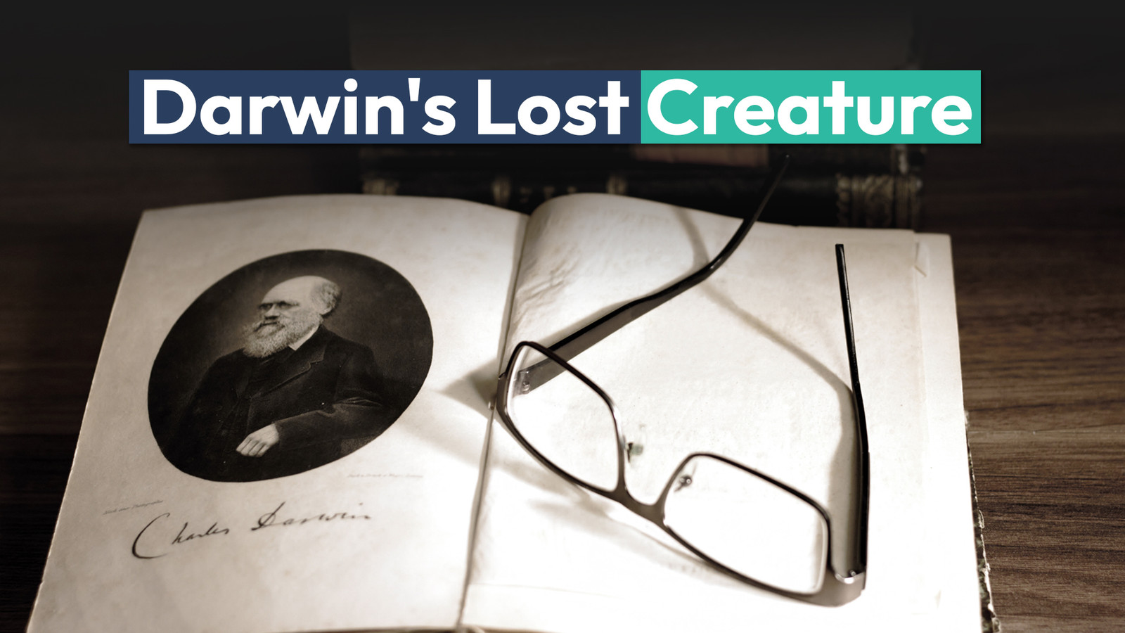 Darwin Computer Extinct This Secretive Creature Observed By Darwin Was Thought Extinct Since ...