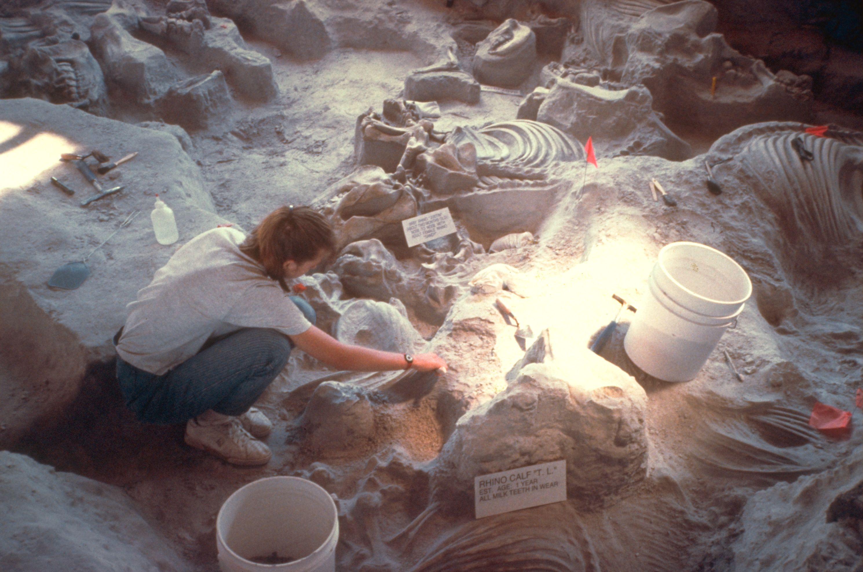 This State Park In The Midwest Is Actually A 12 Million-Year-Old ...